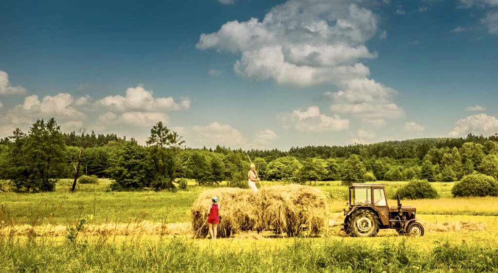 Farmers in Poland...