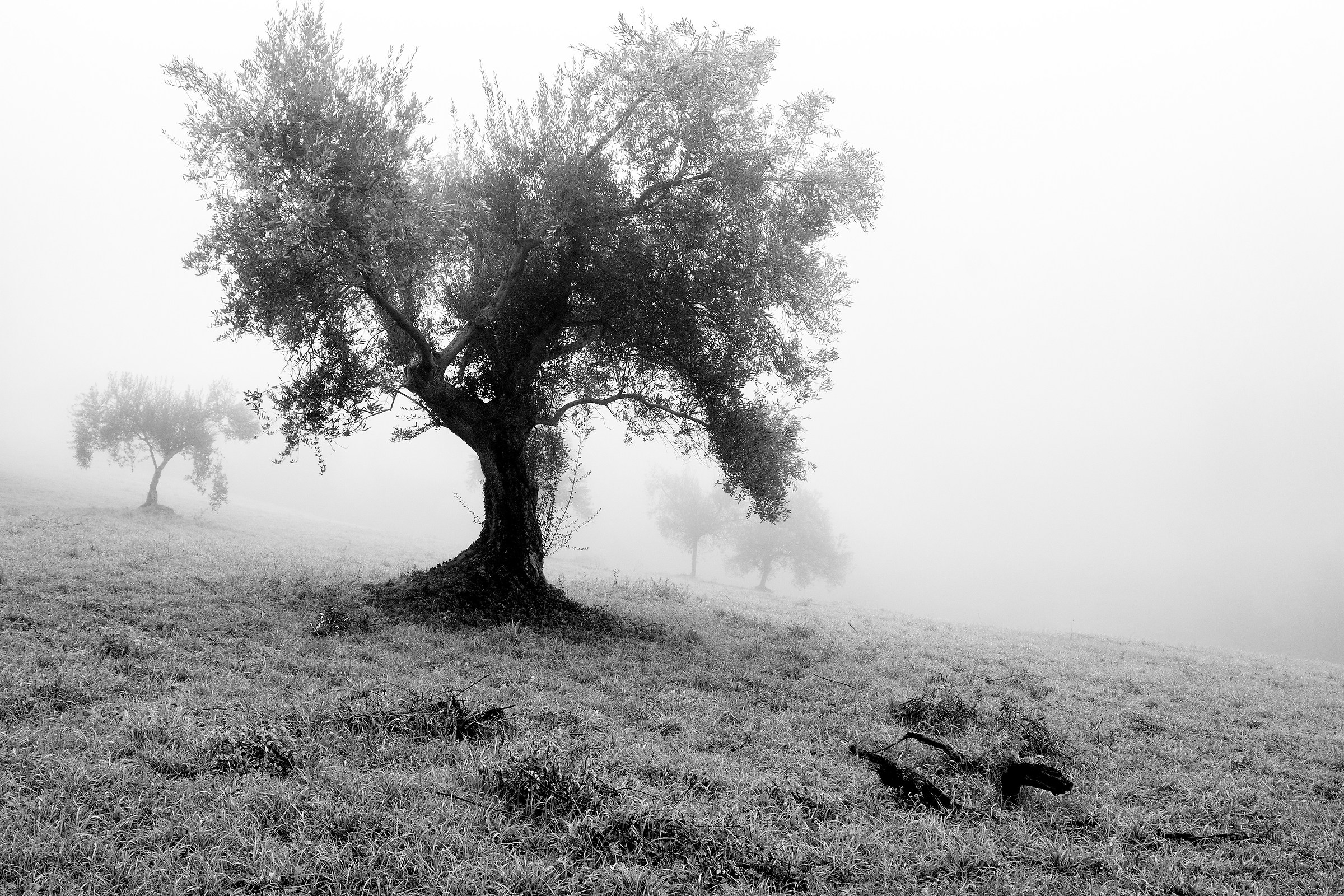 paesaggio...