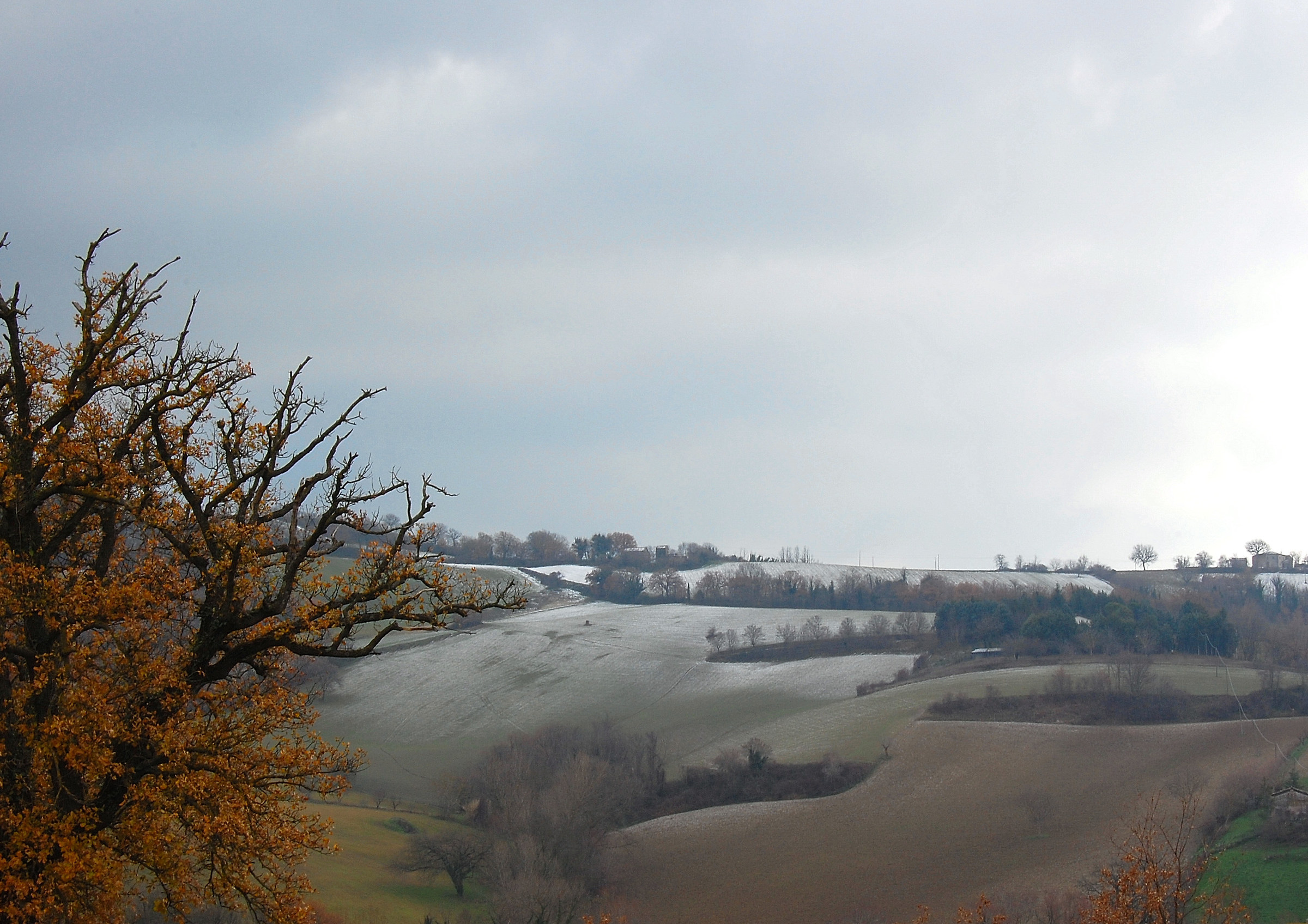Marche hills: winter shades...