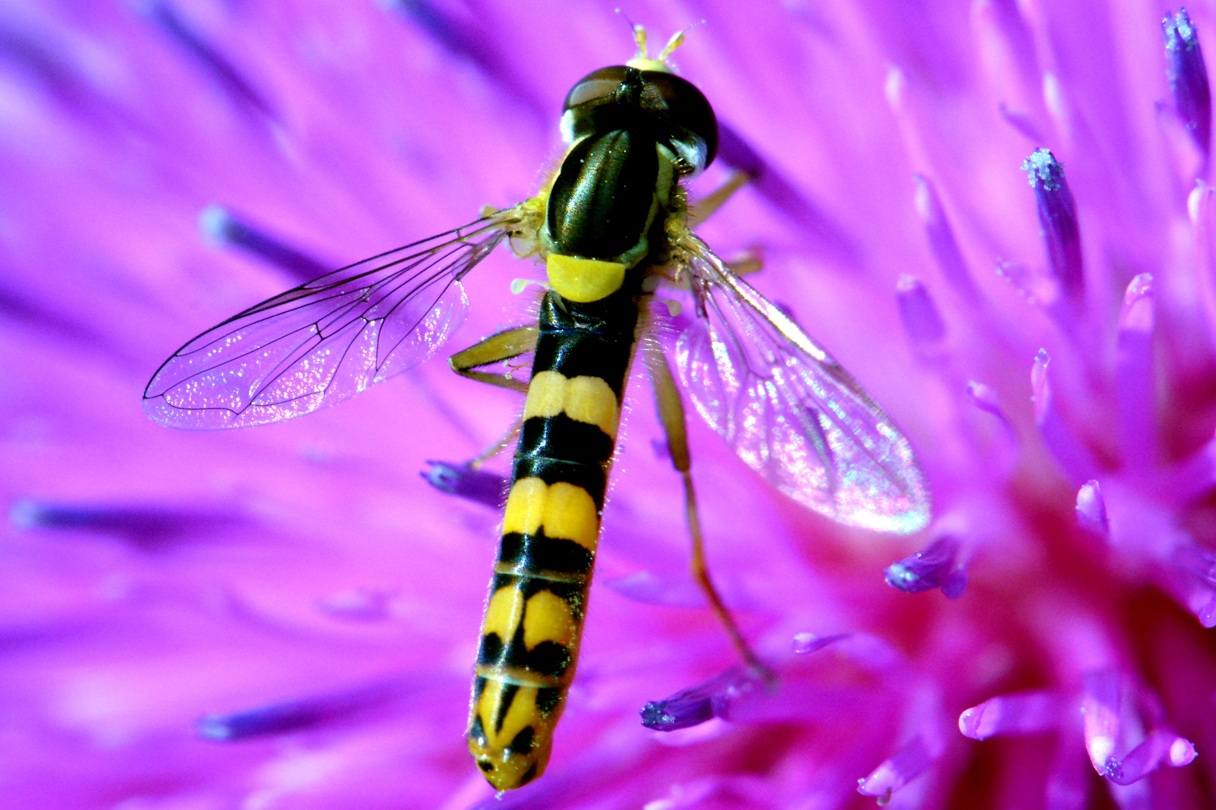i colori della natura...