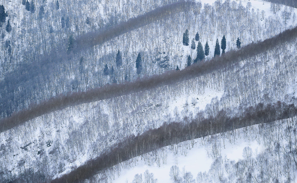 Linee naturali...