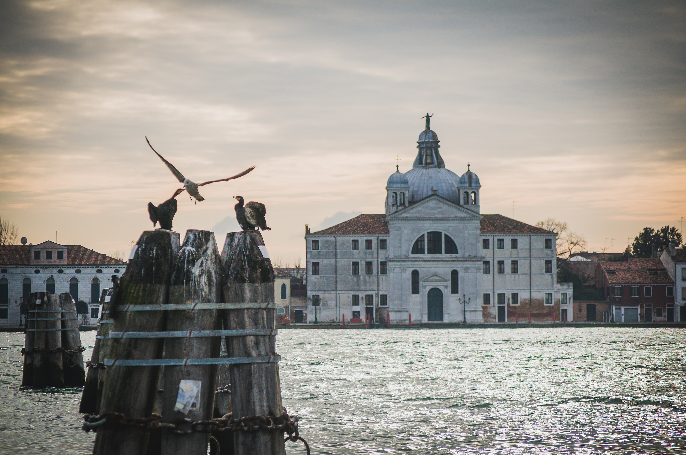 Venice Landscape...
