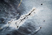 [Photo]