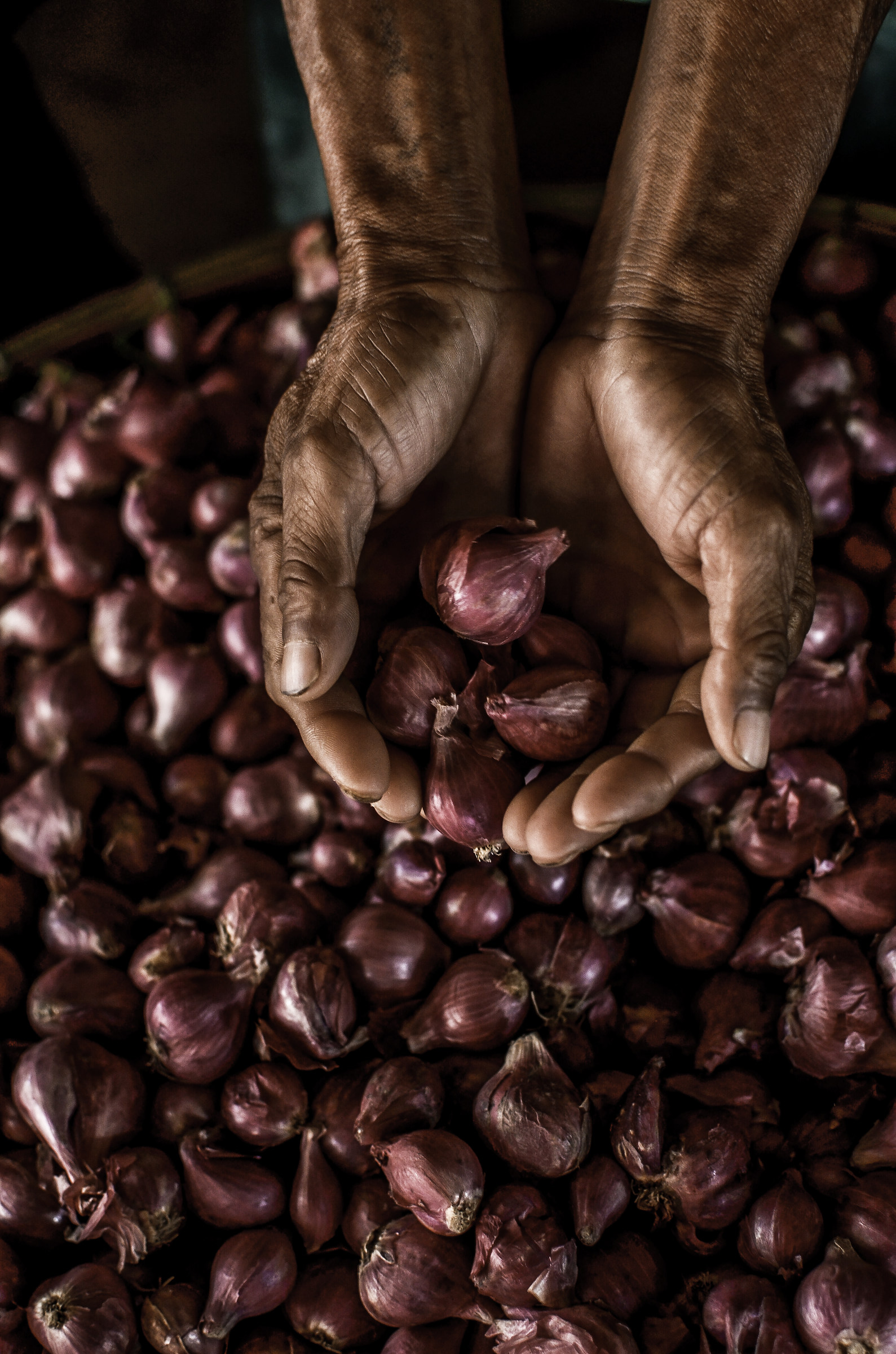 small red onion...