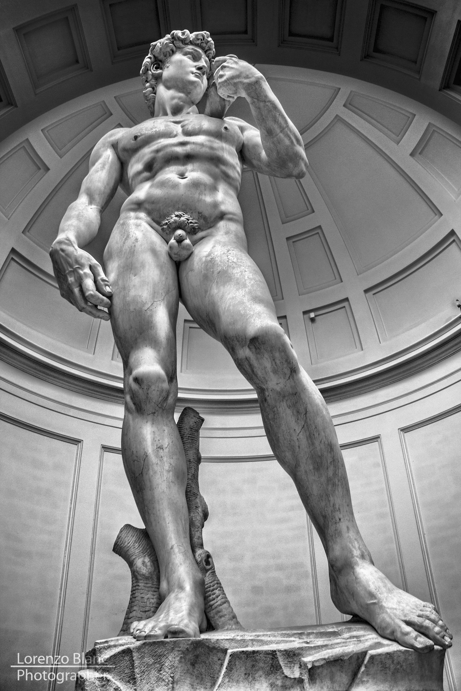 David by Michelangelo (Florence)...
