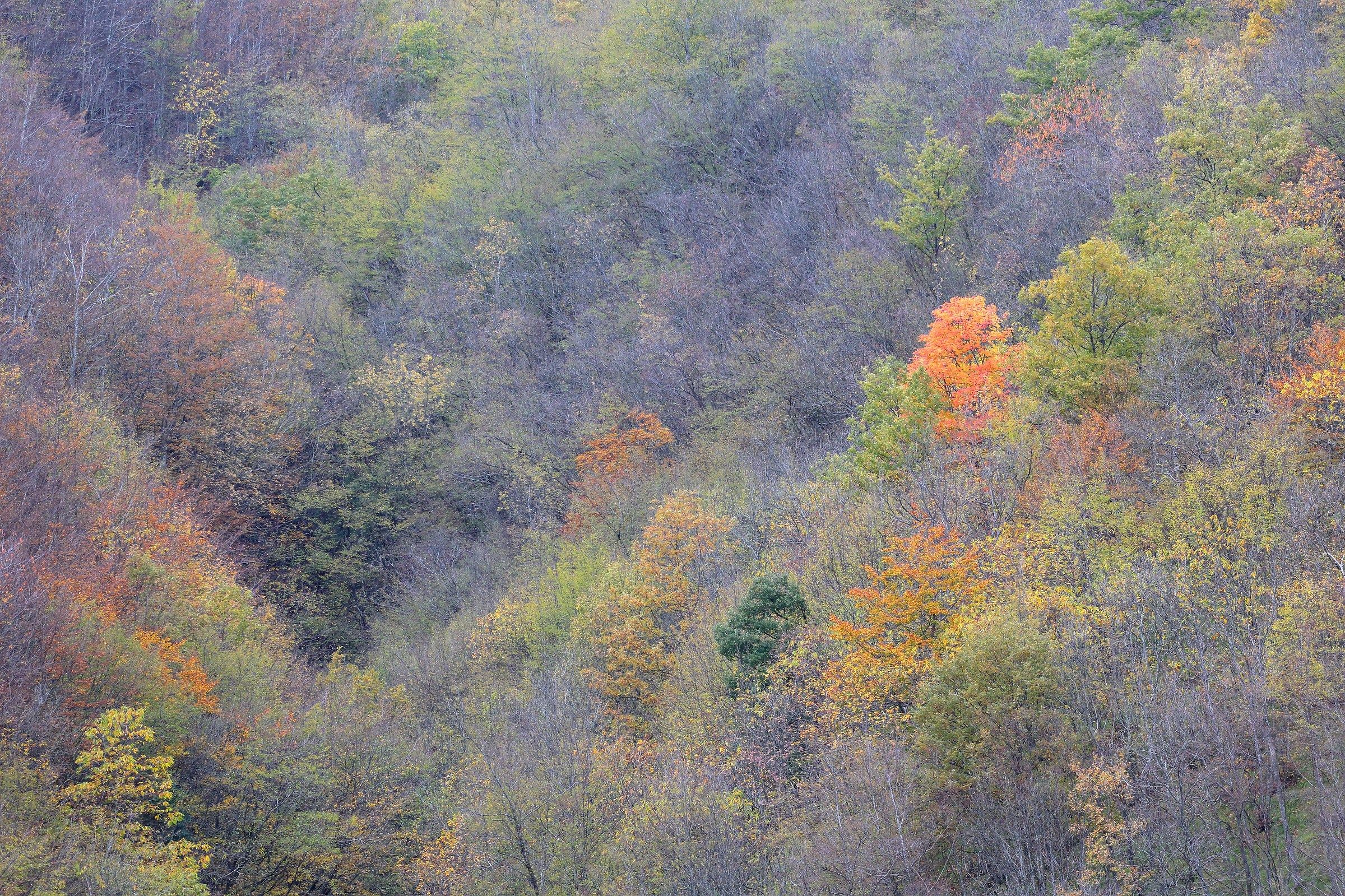 autumn in the Apennines...
