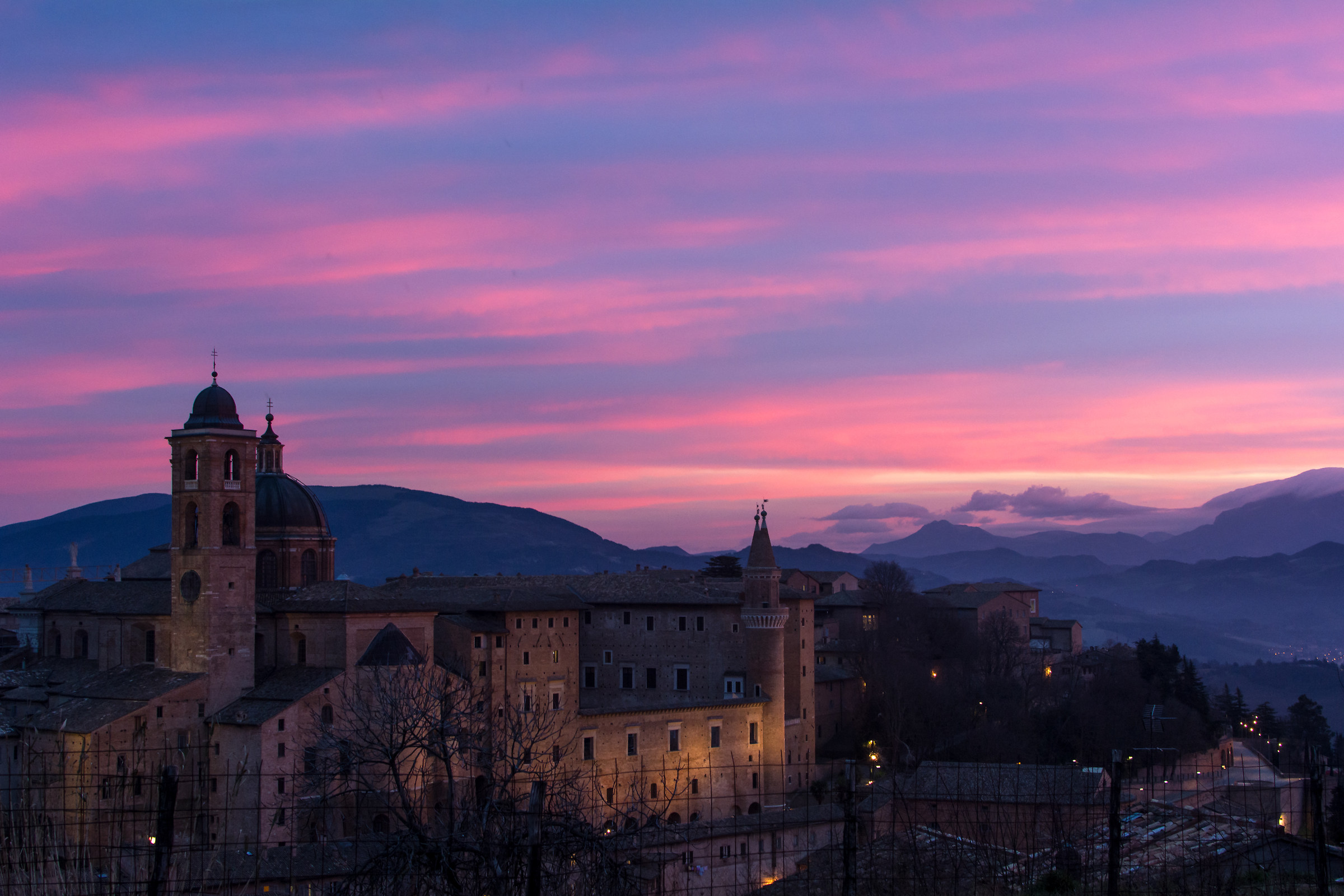 Urbino rosata...