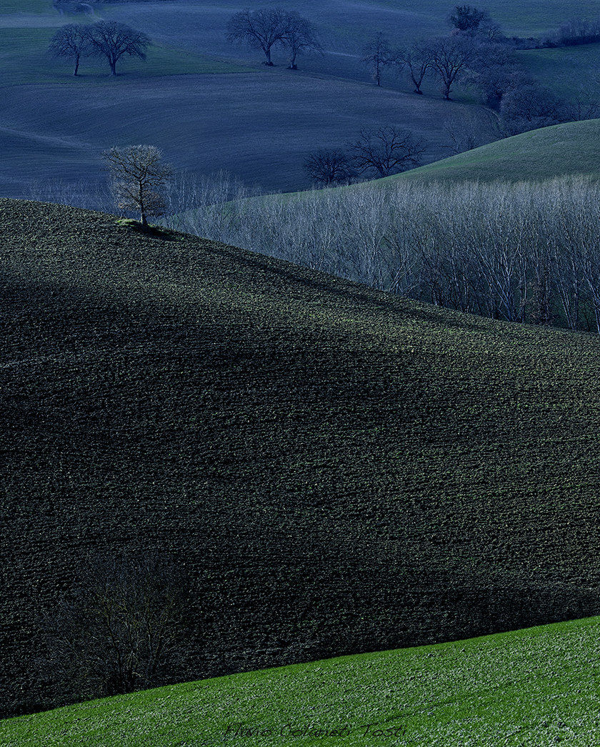 Val D'orcia ... shape and color...
