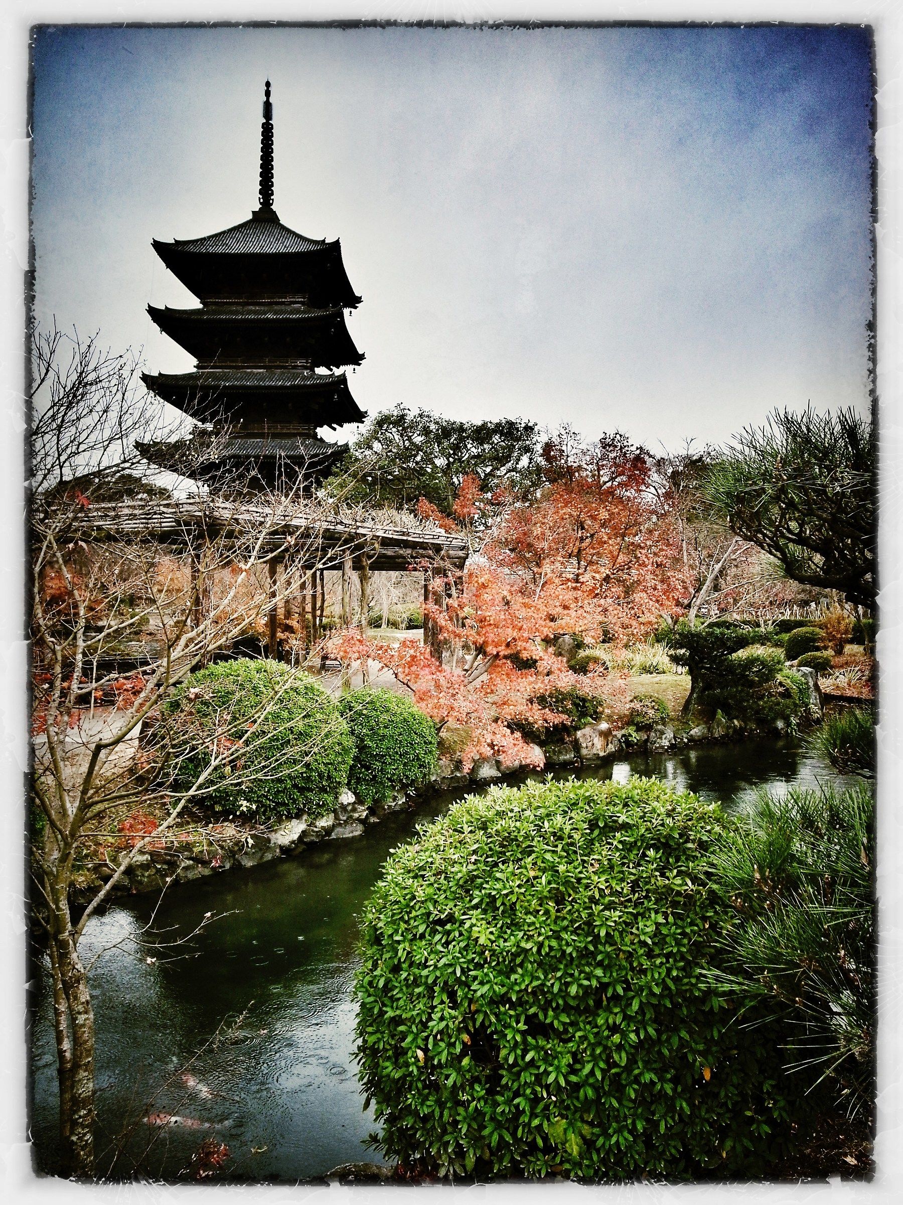 Kyoto - Temple's garden 2...