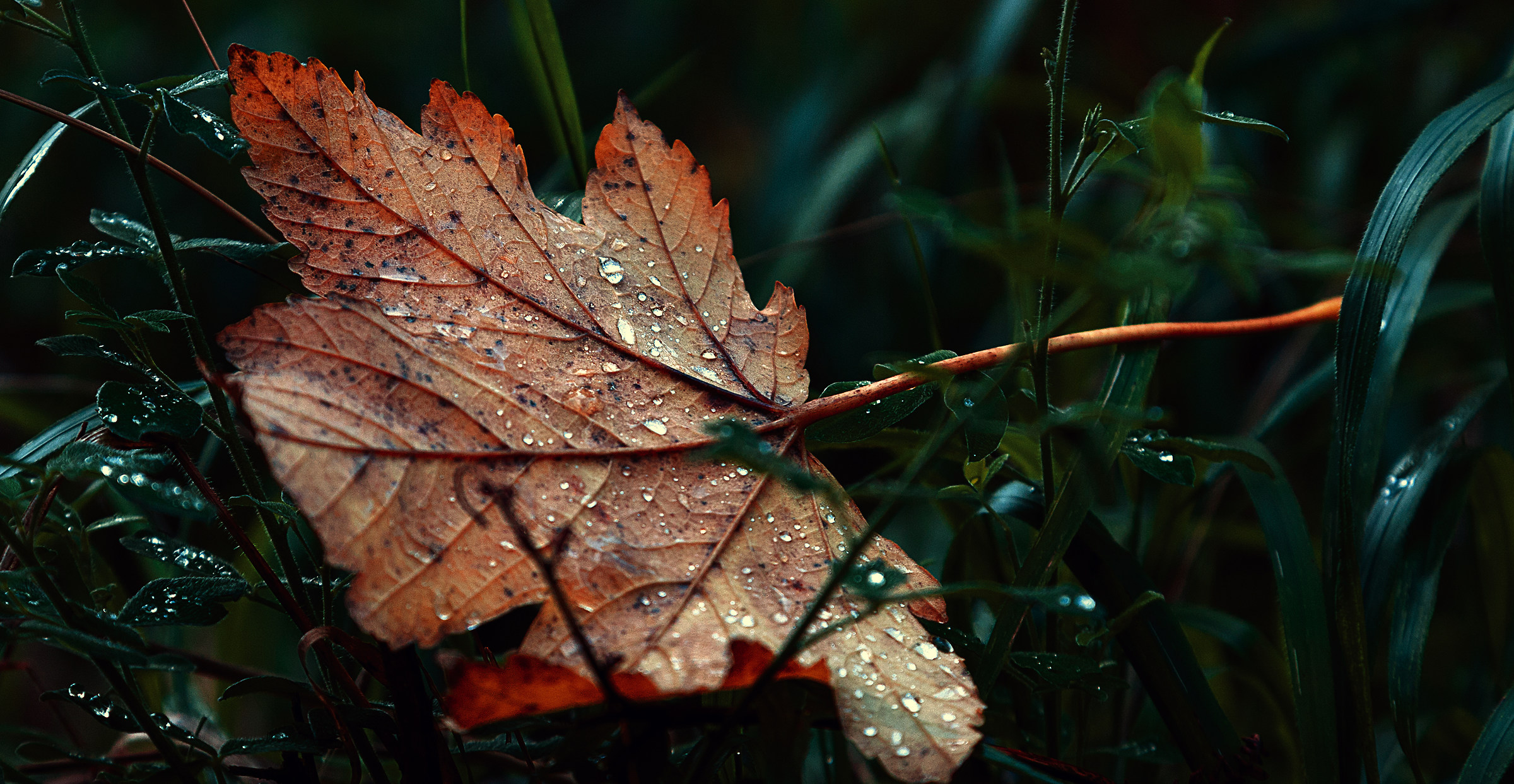 Autunno...