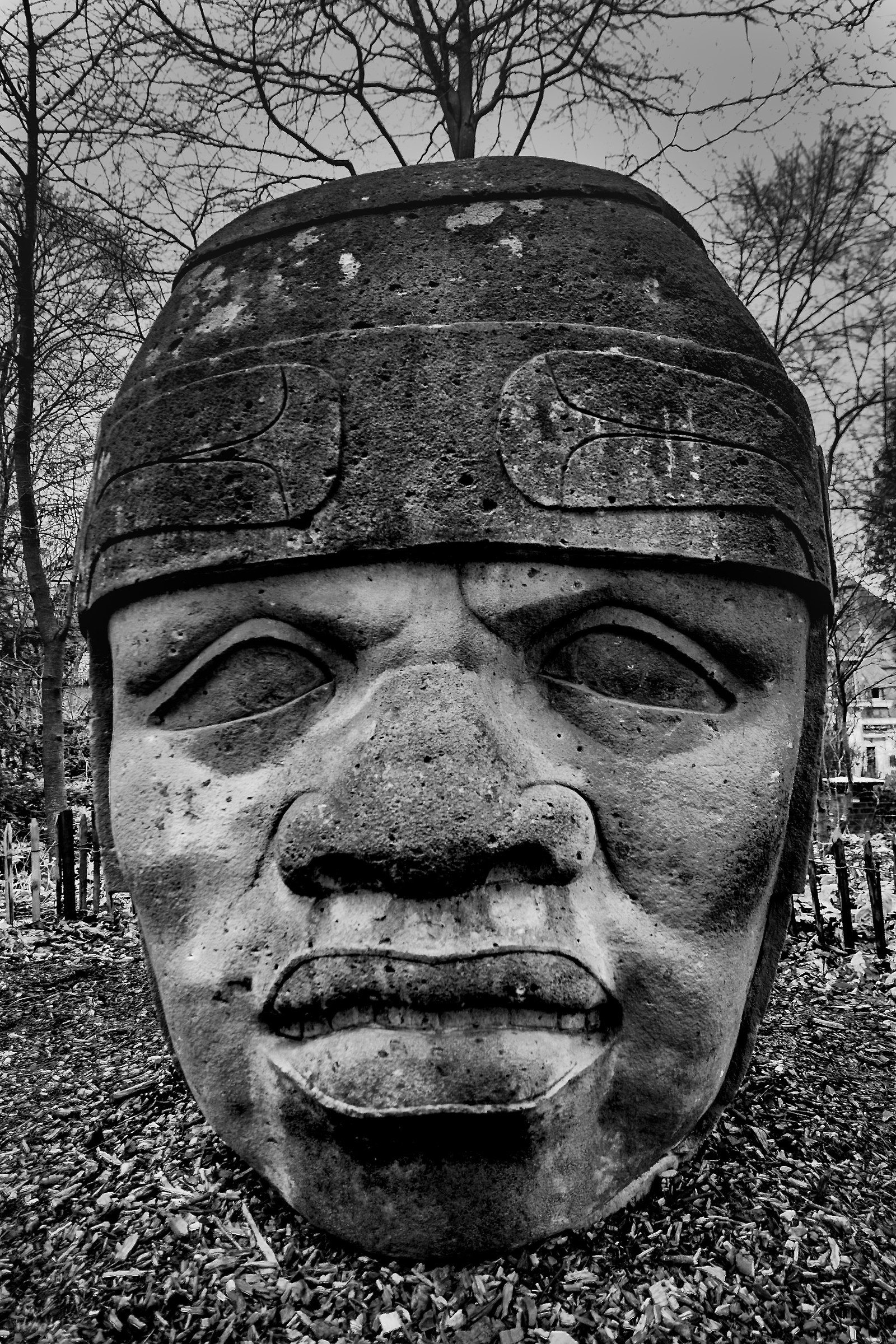 The Olmec head of the Tournay-Solvay park...