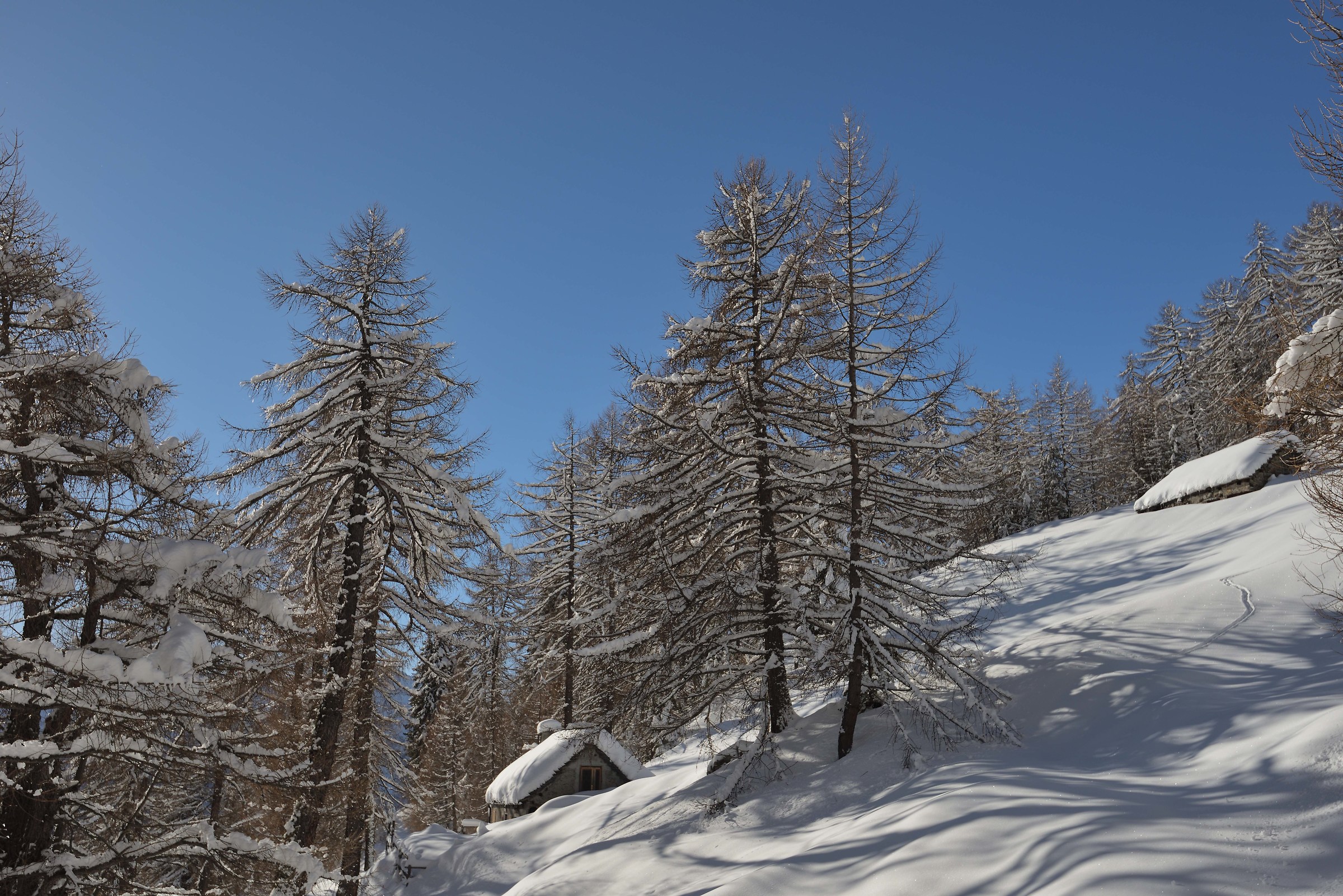 cerco di proseguire sopra il rifugio...