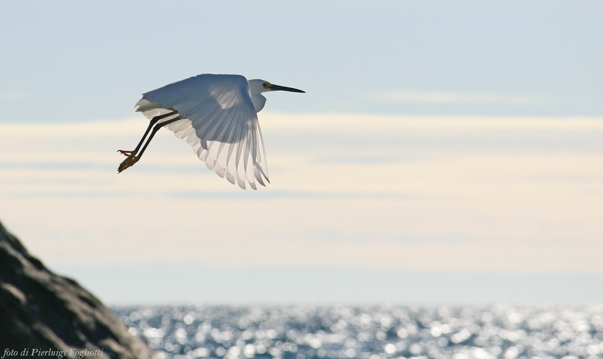 taking off the flight...