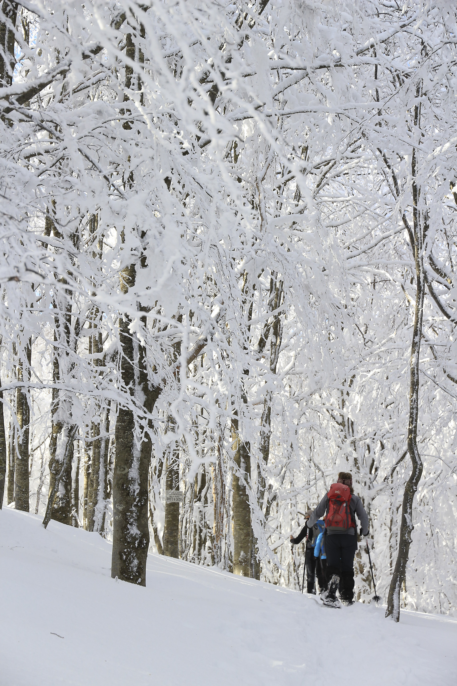 Walking towards the Ragola...