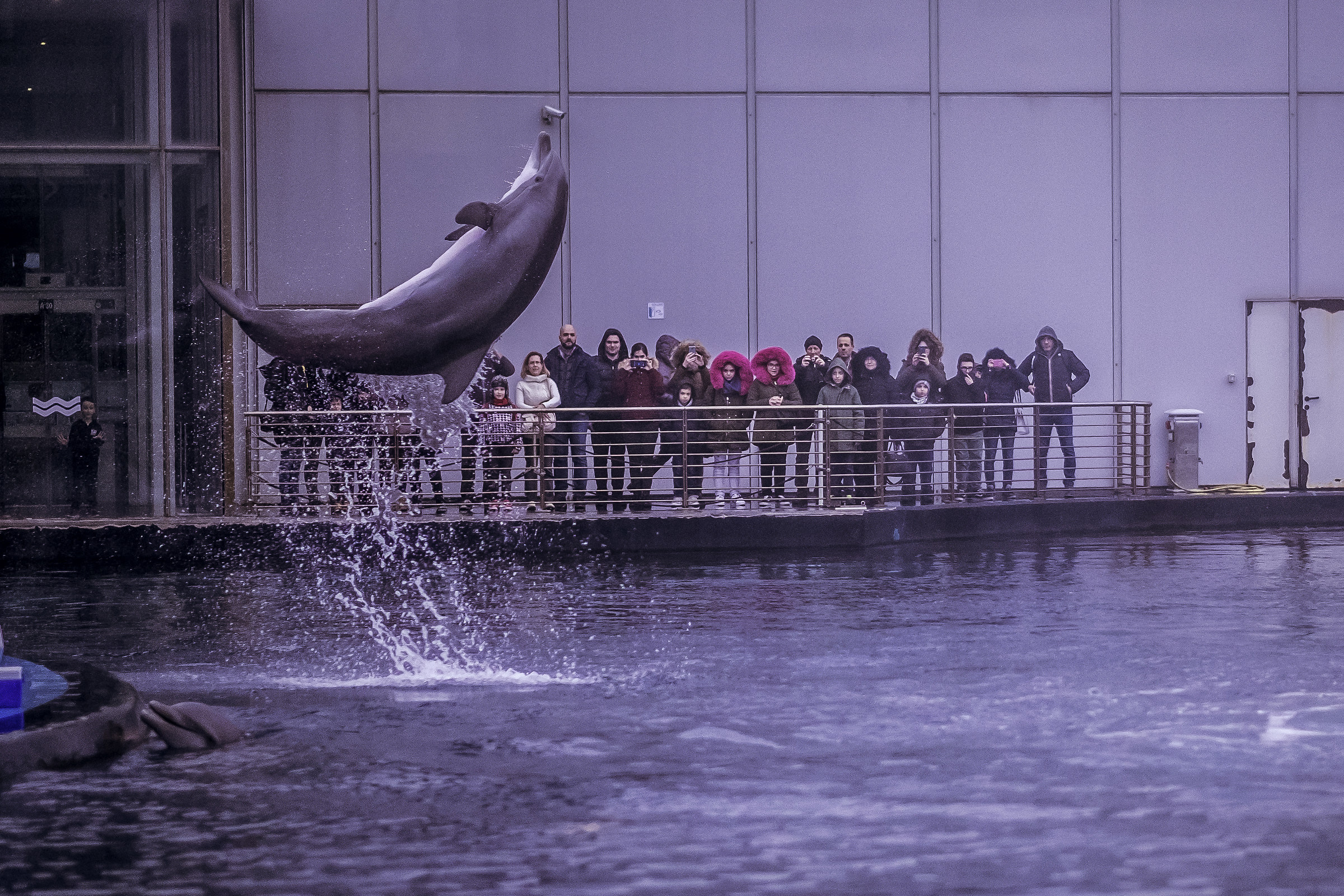 acquario di genova...