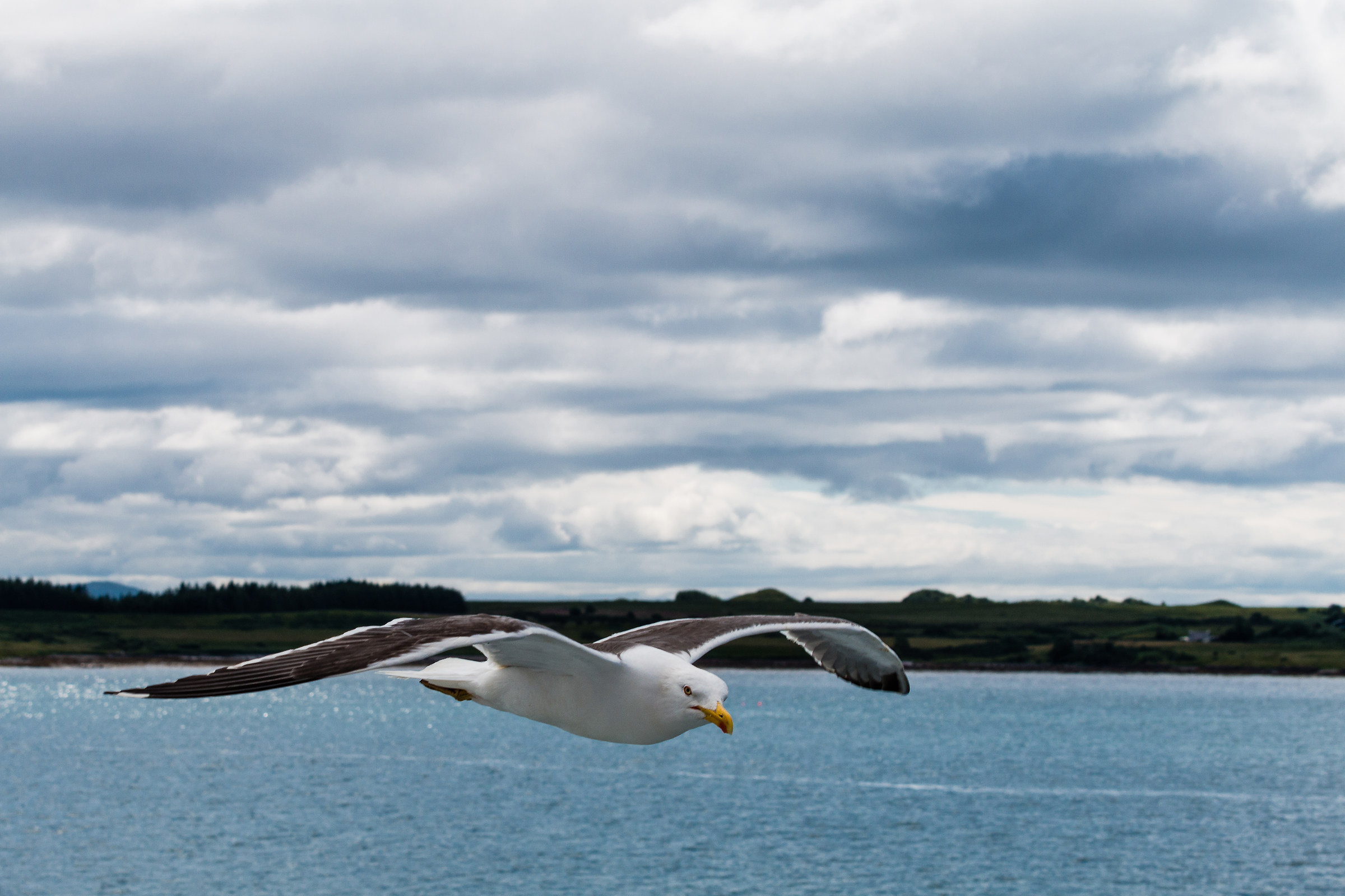 In flight......