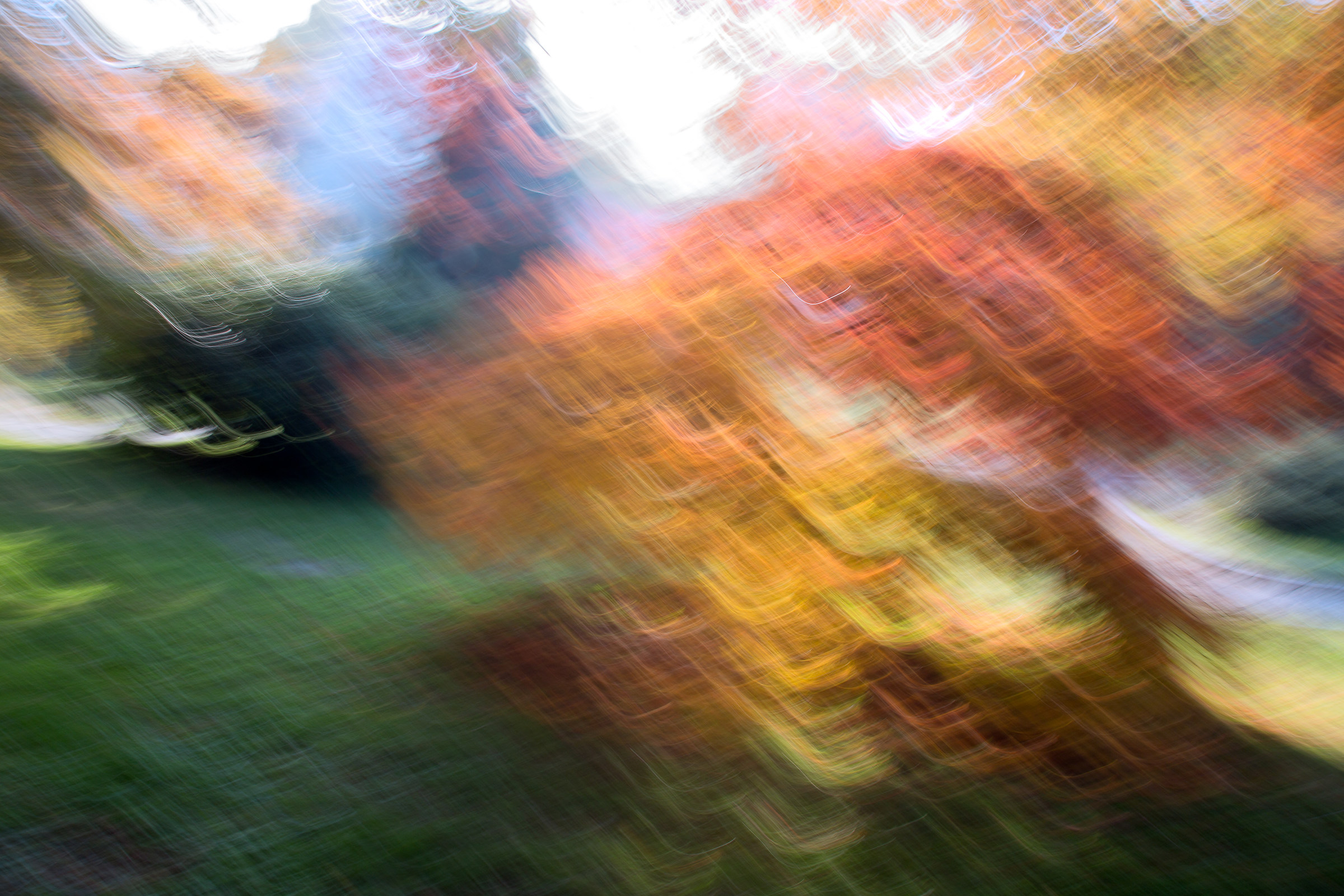 Blurred autumn VI...