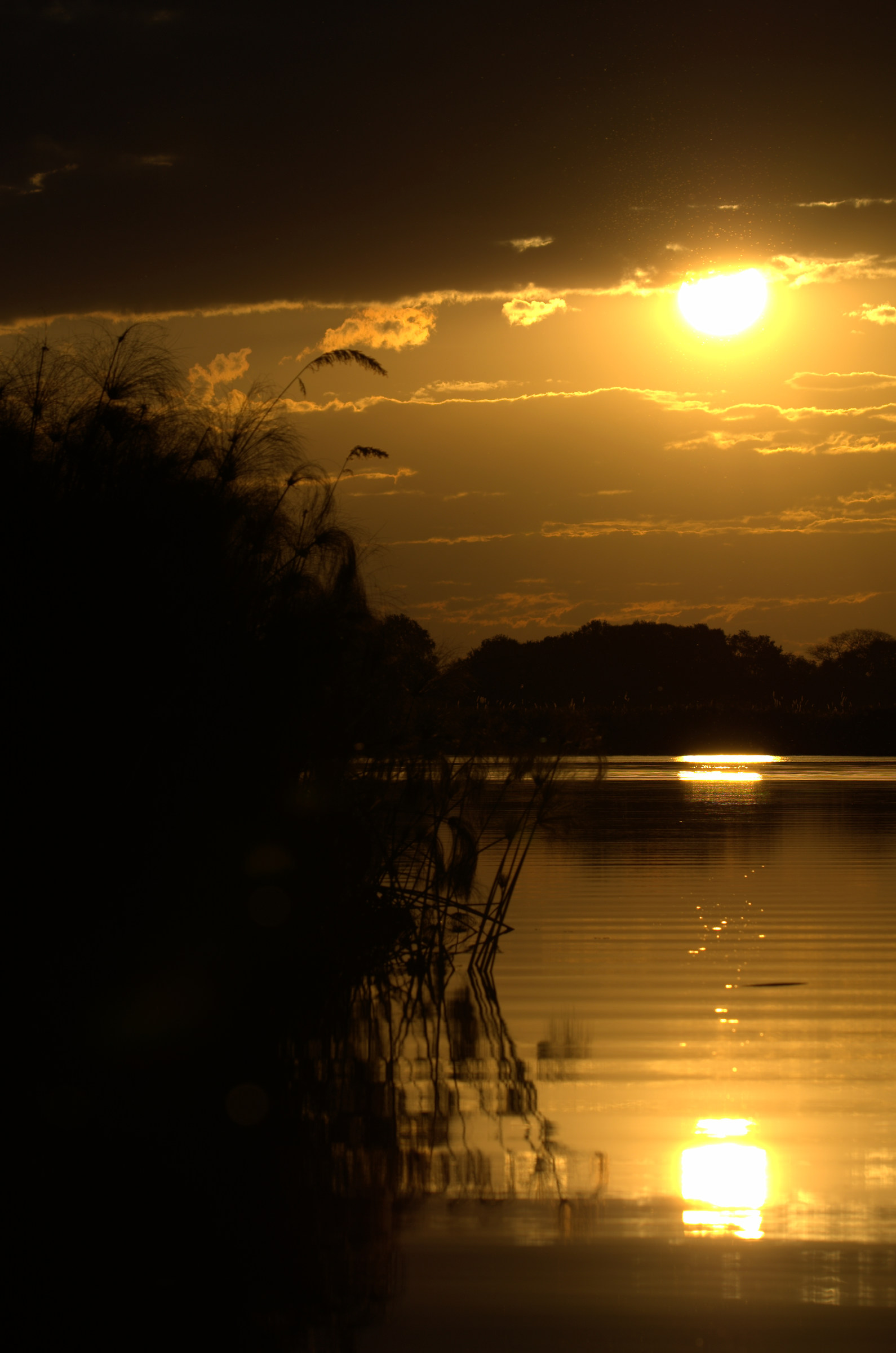 Delta Okavango - Sunset...