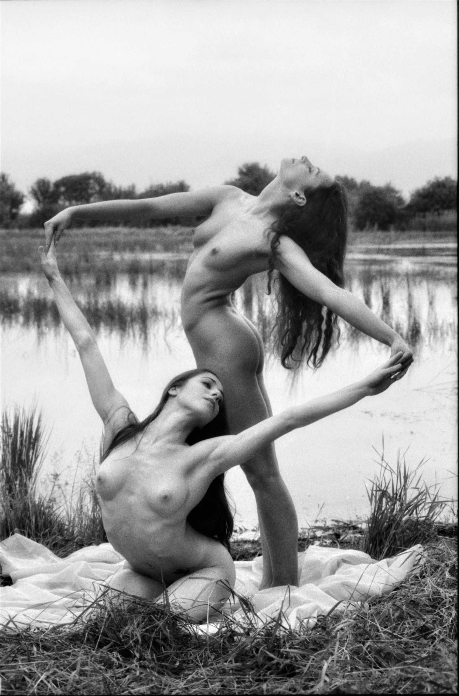 Danza...