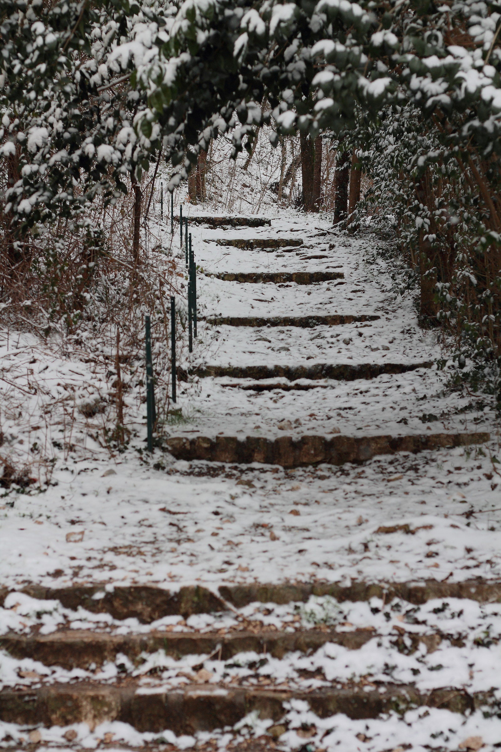 Snowy Stairs...
