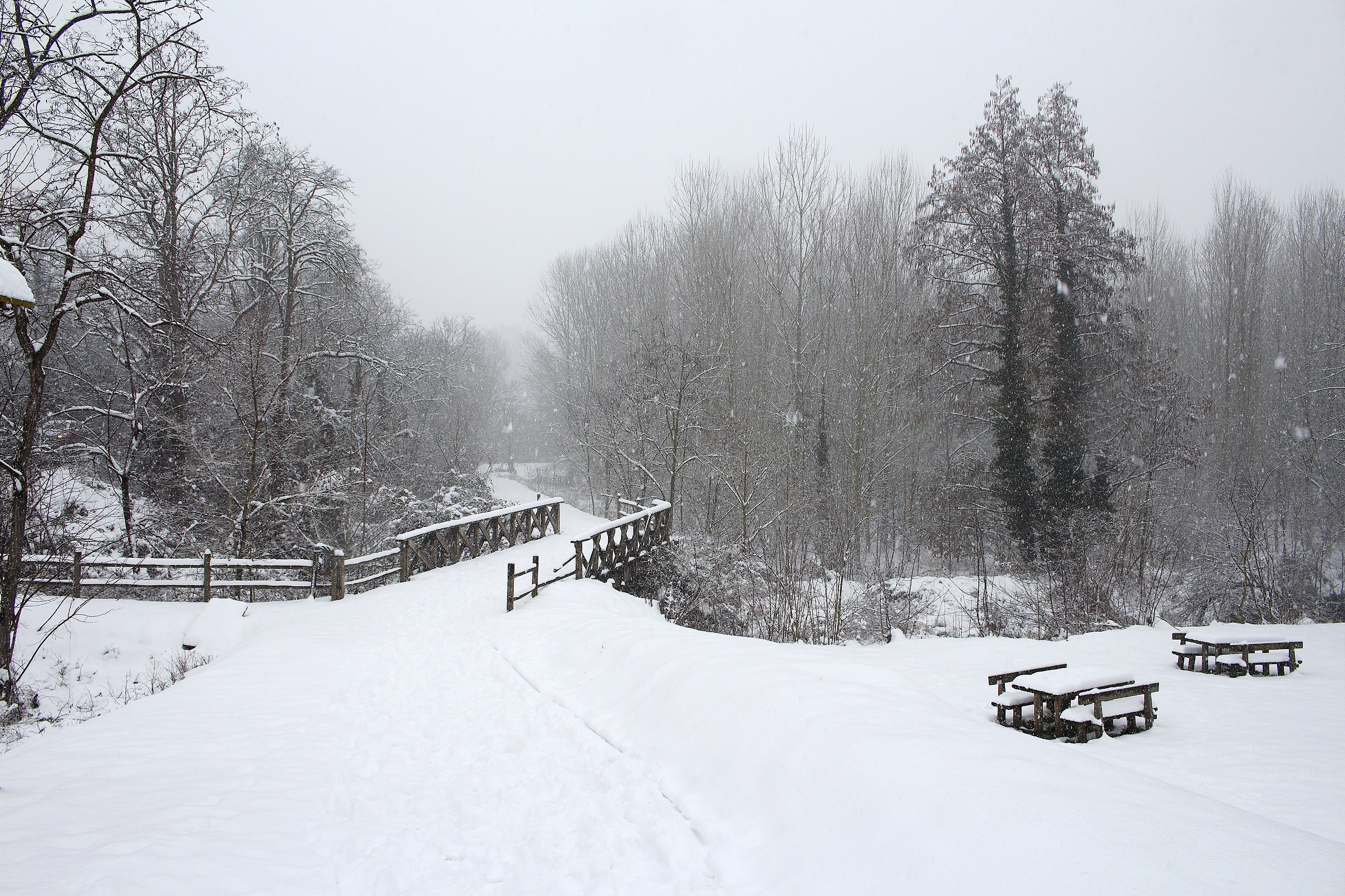 Pavia sotto la neve...