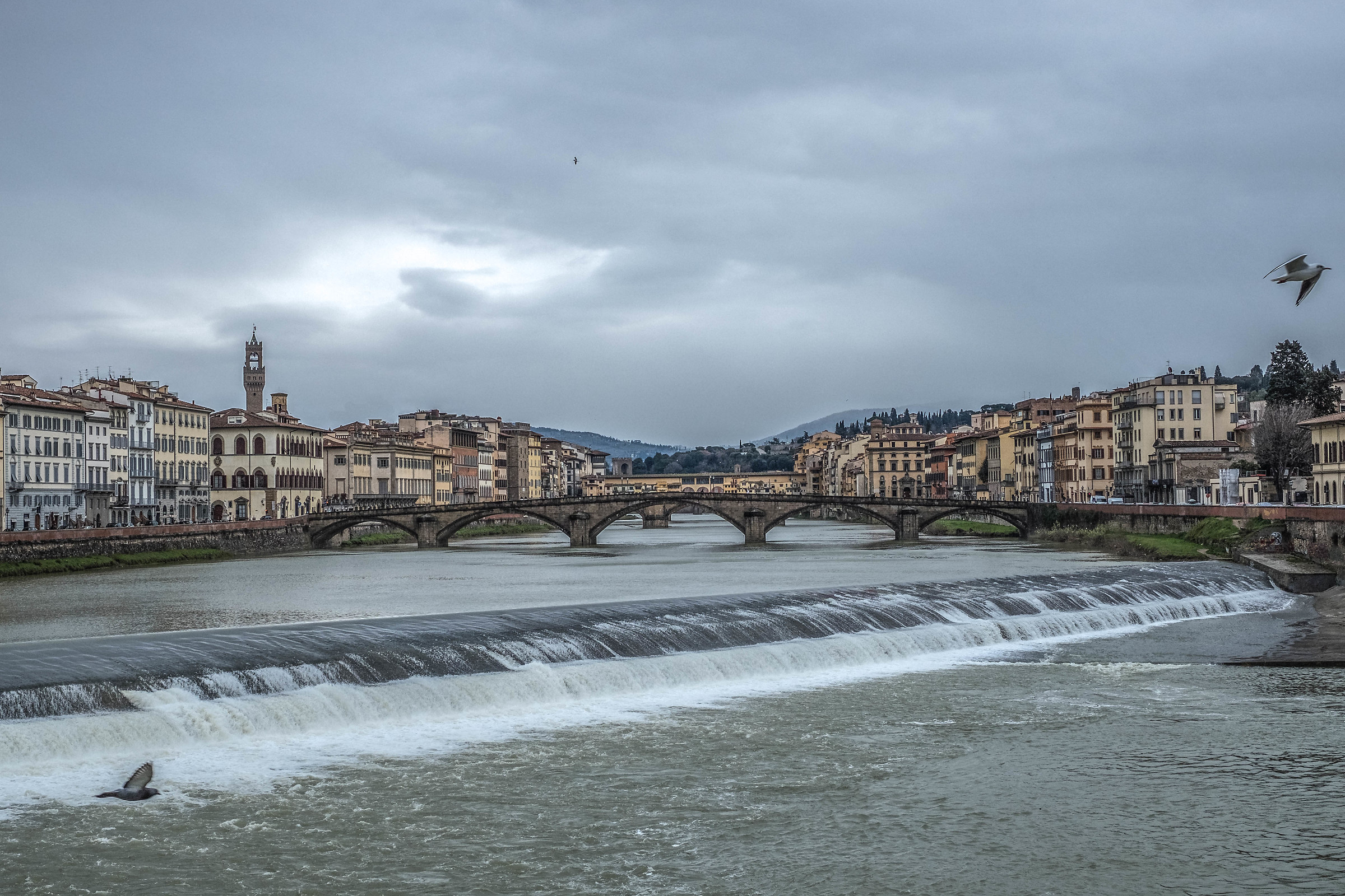 Firenze...