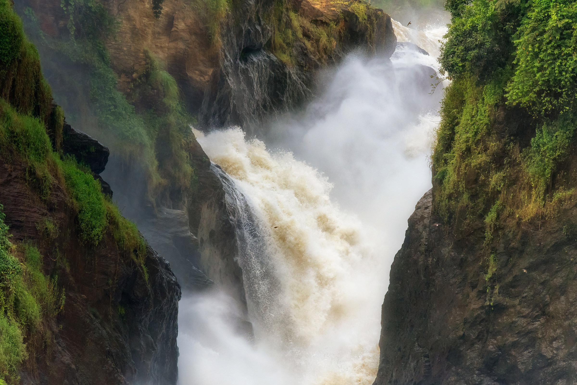 Murchison Falls...