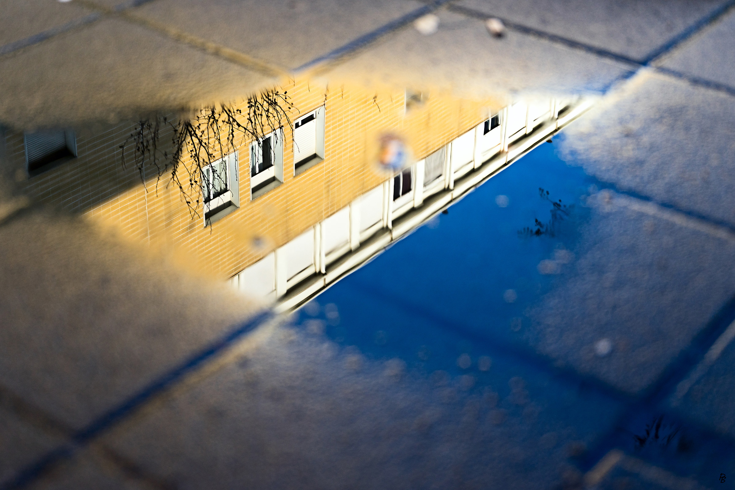 Maths in a puddle...