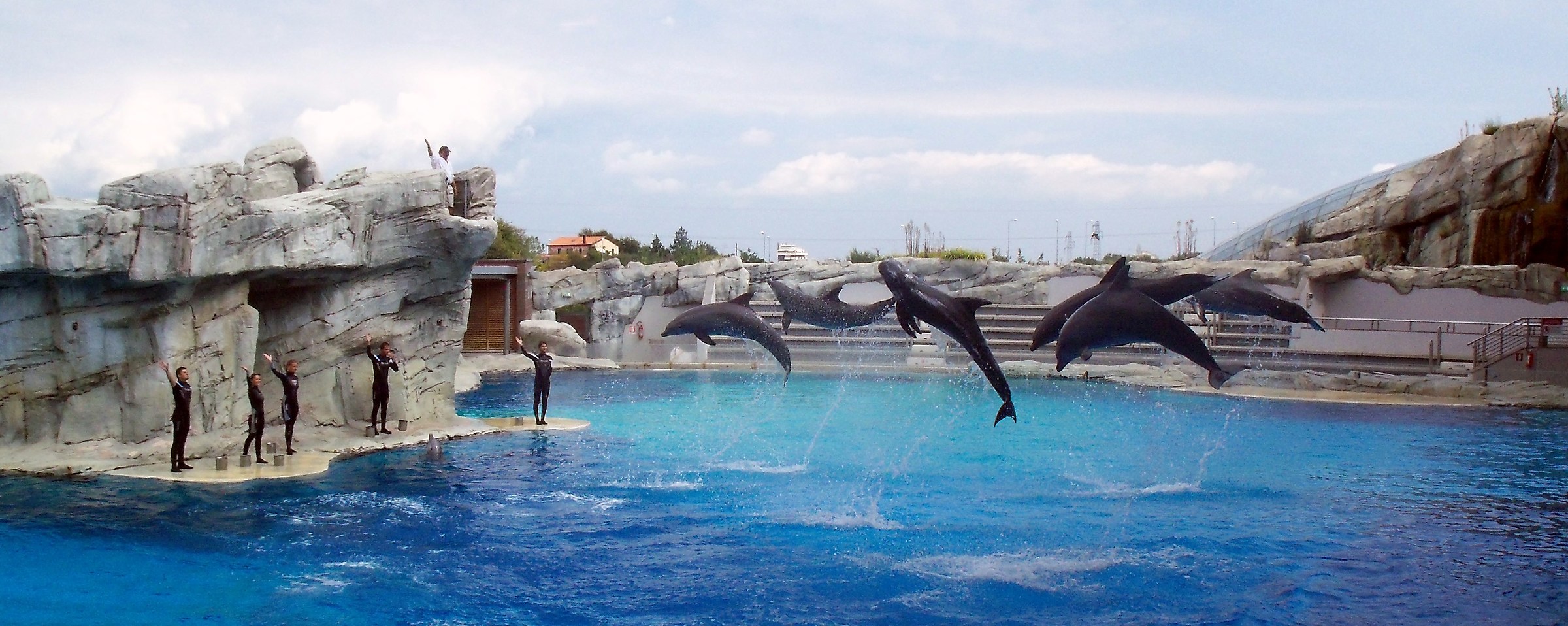 Shot stolen from the Dolphinarium...