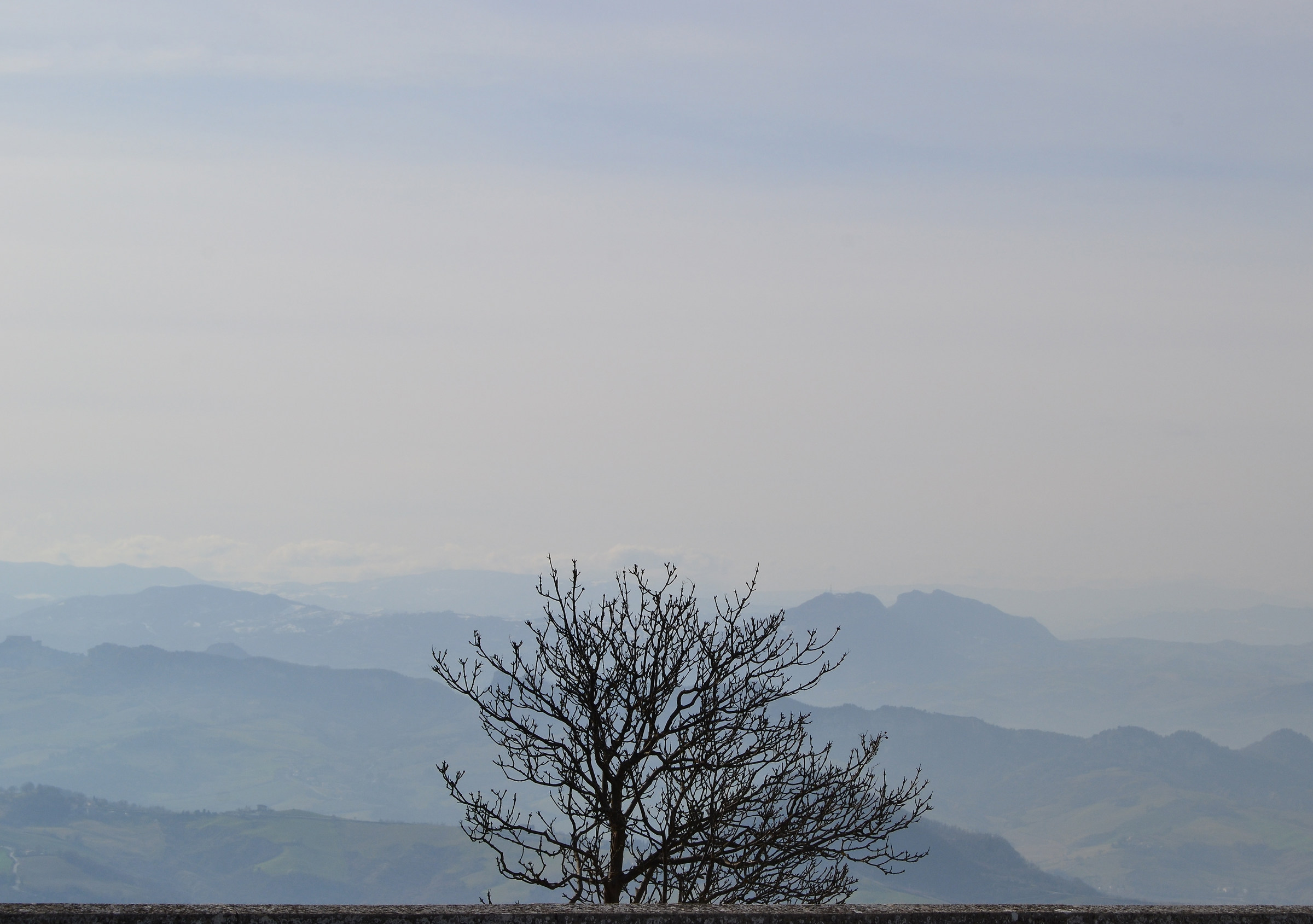 Nebbia...