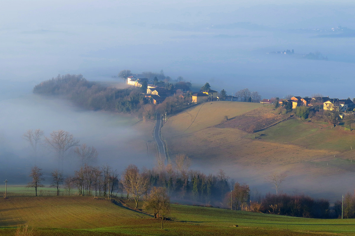 Alto Monferrato - dawn...