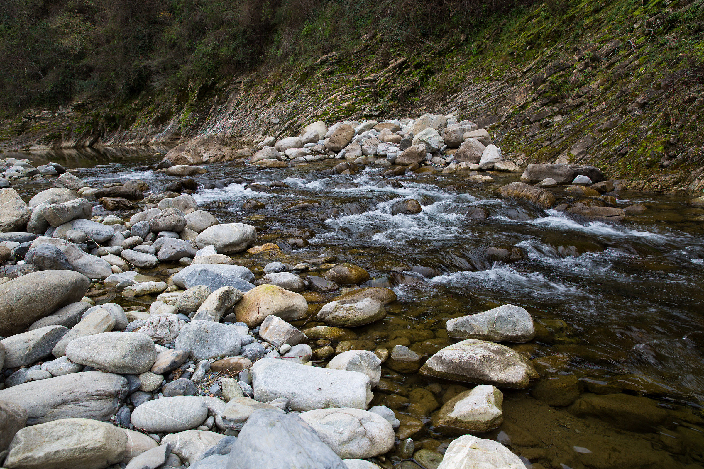 The Creek ...