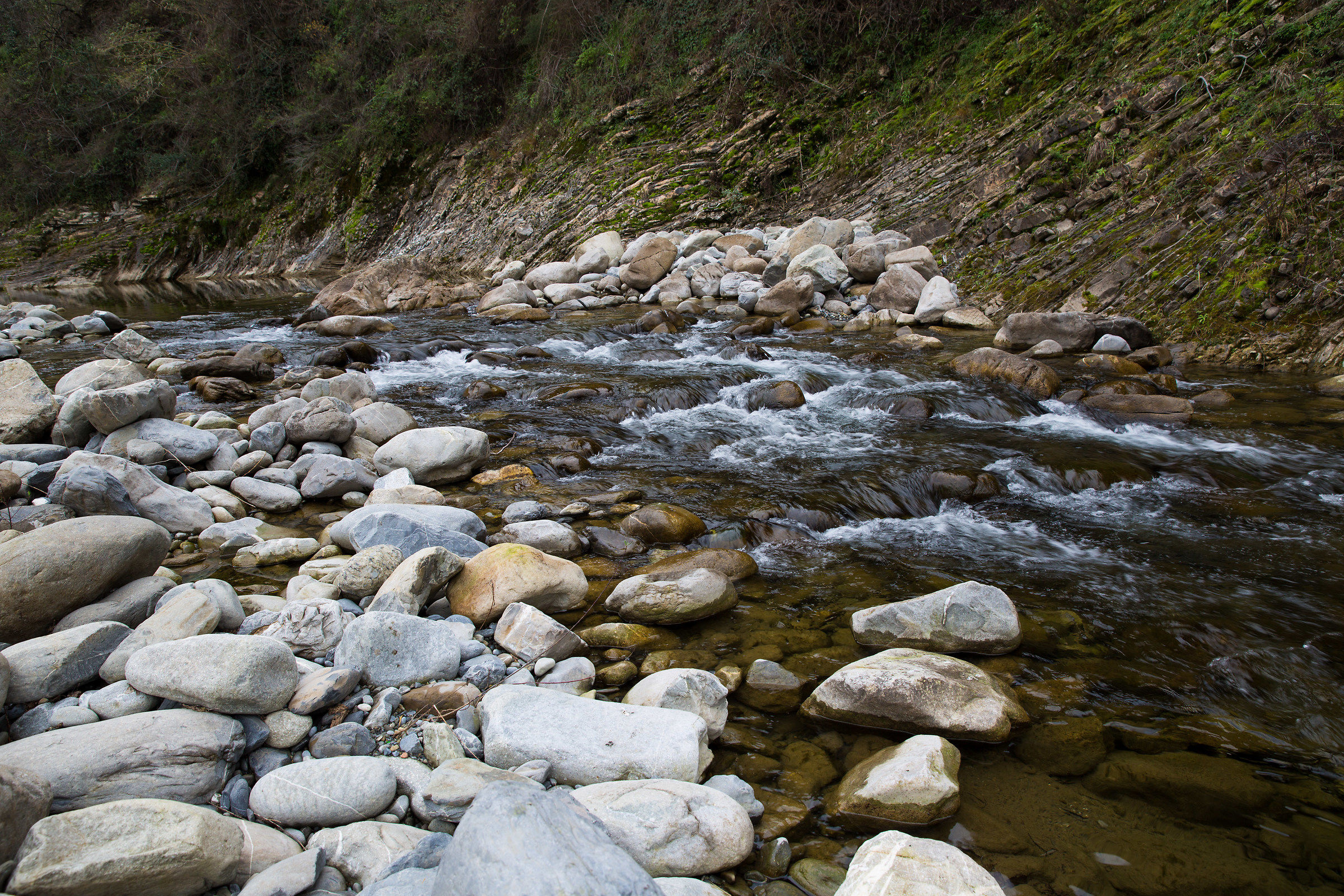 IL Torrente...