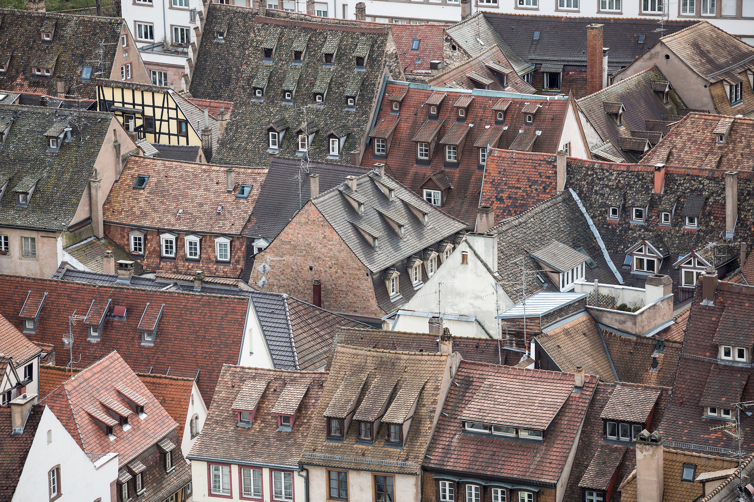 The roofs of Strasbourg...