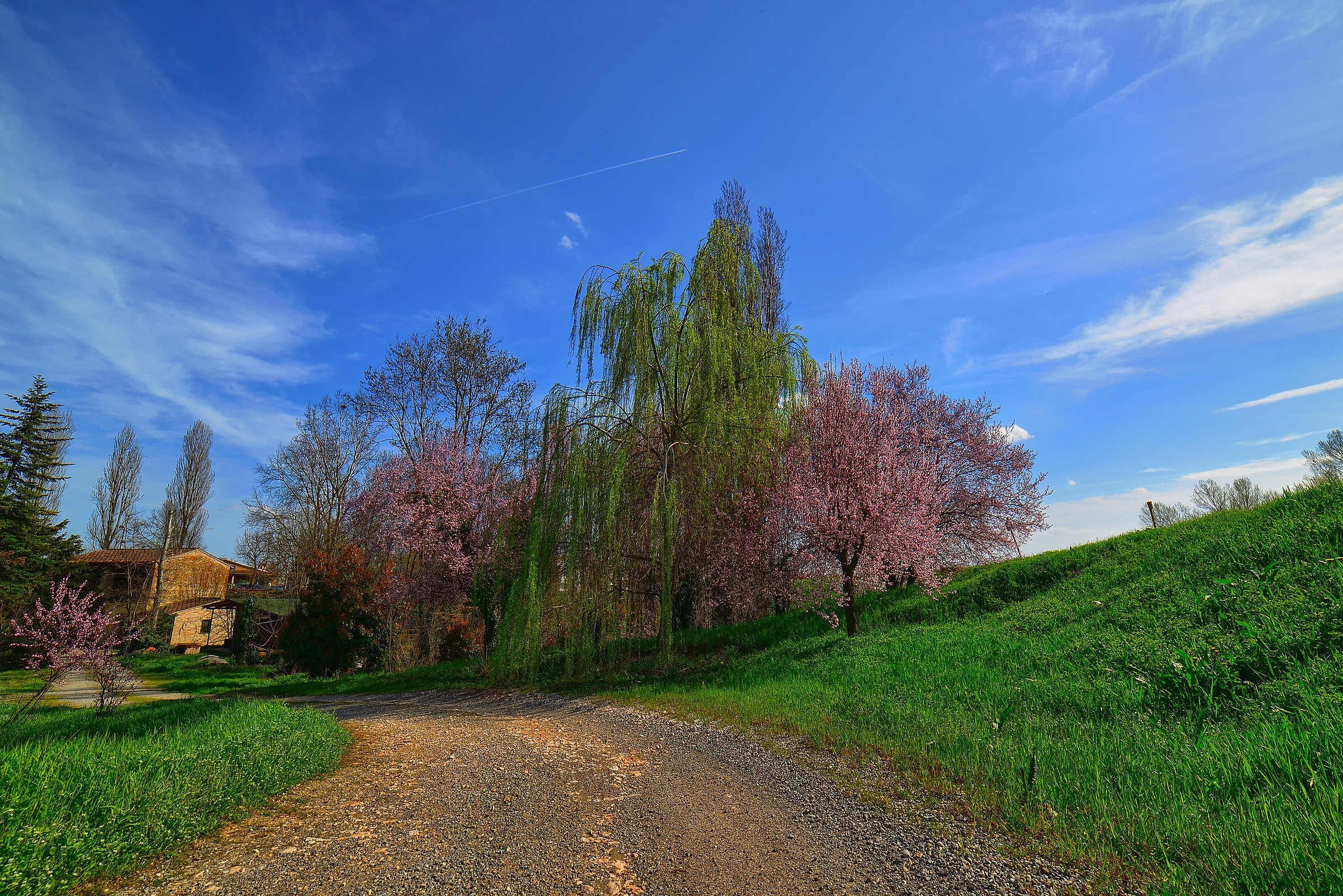primavera sul Po...