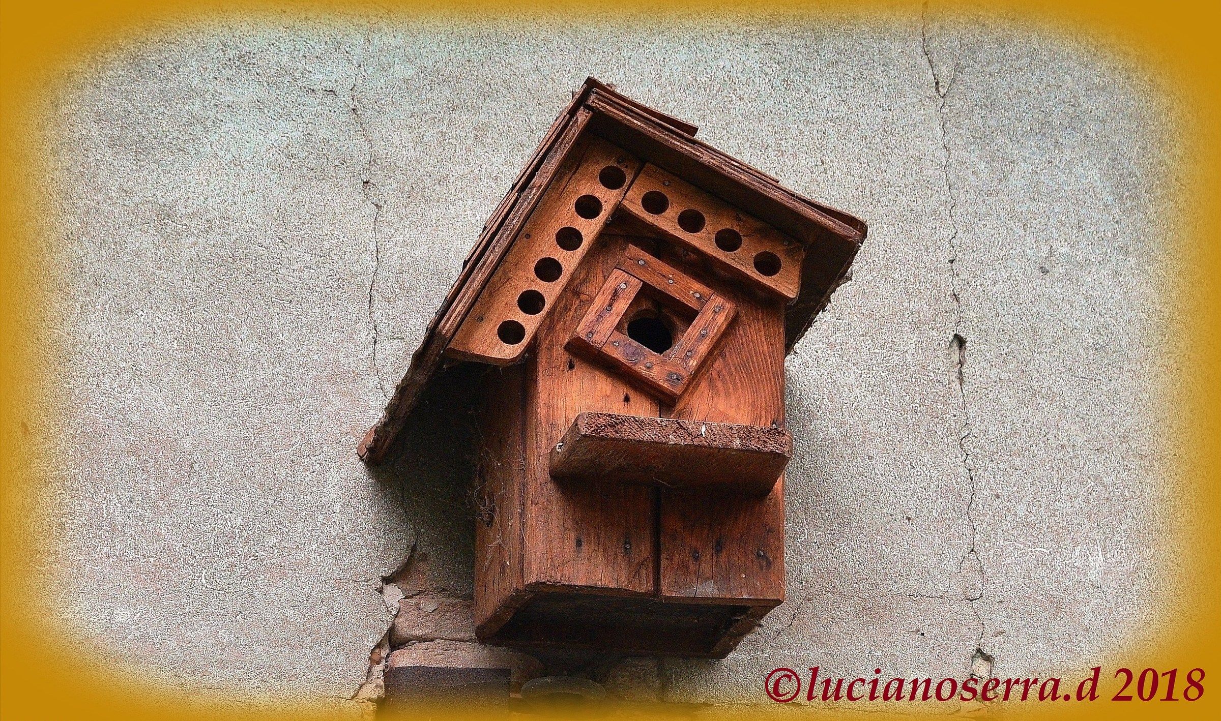 Small House for small birds...