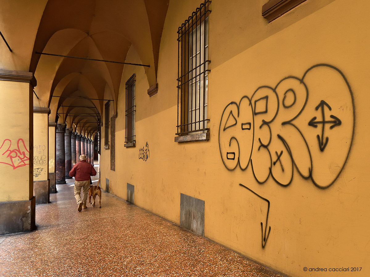 Walking with the dog under the arcades of Bologna...