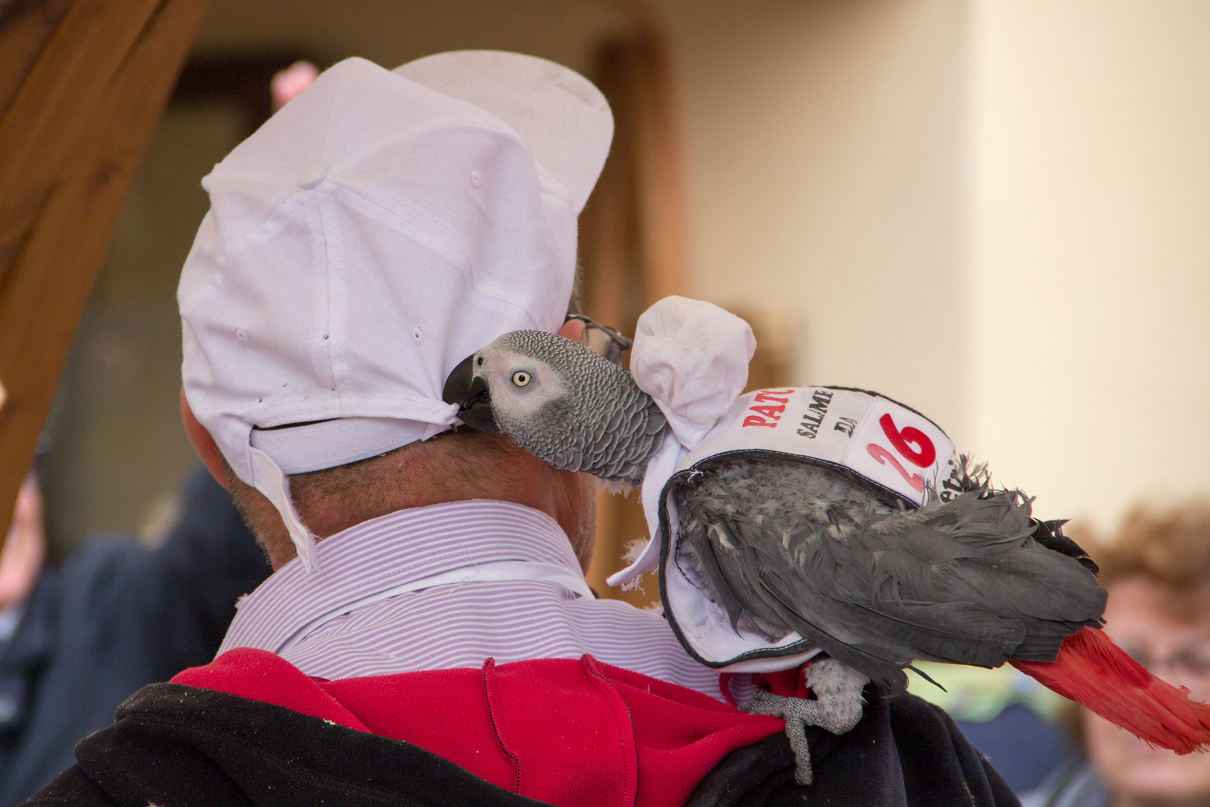 I want your hat!...