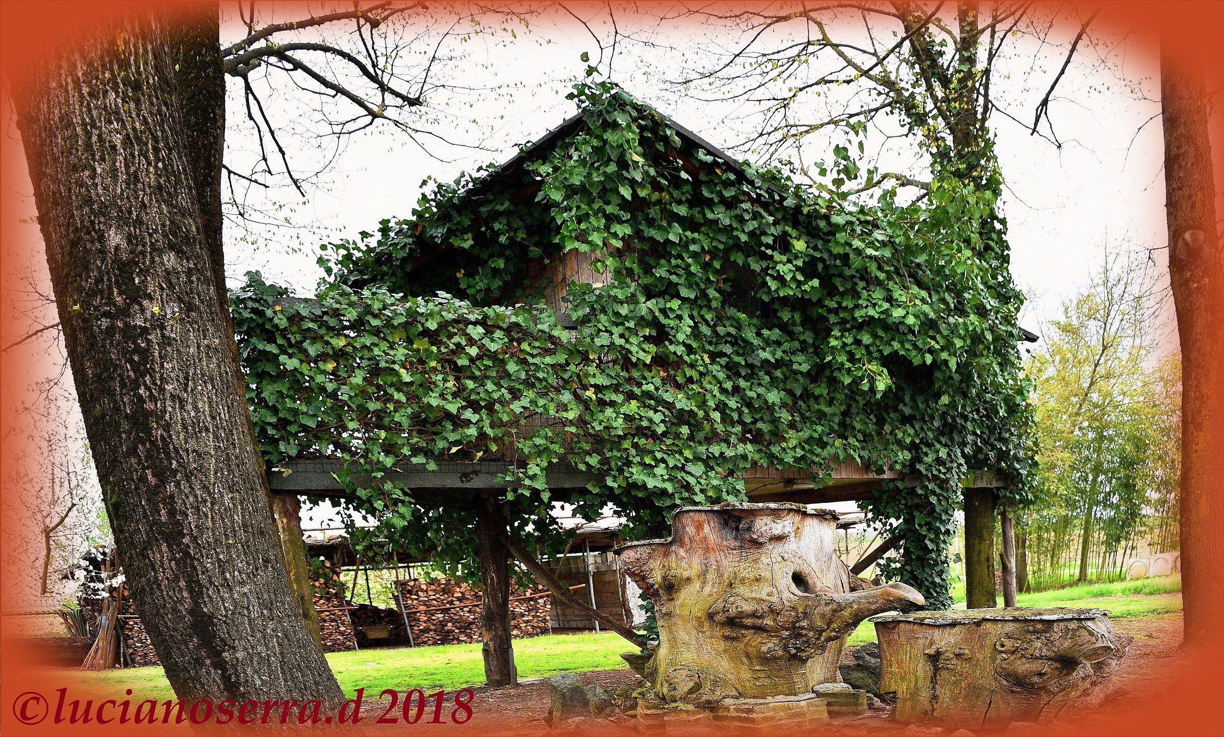 Wooden fountain and cottage on trees...