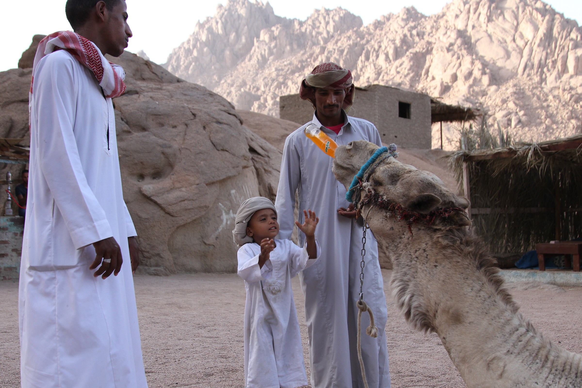 Bedouins of Sinai...