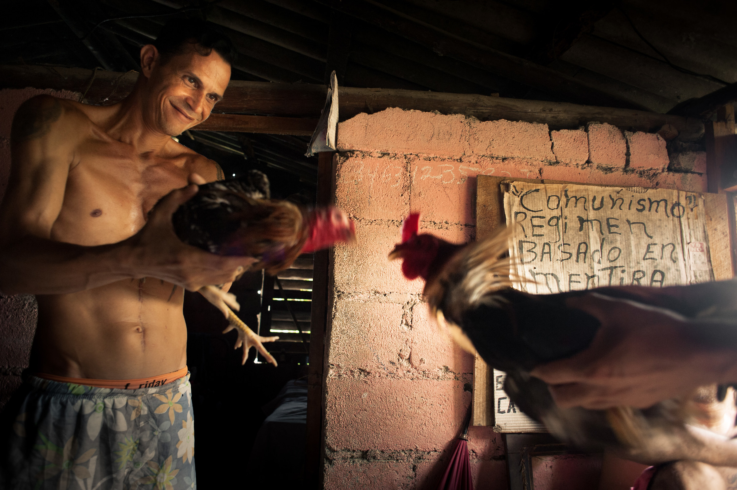 Papito with Rooster...
