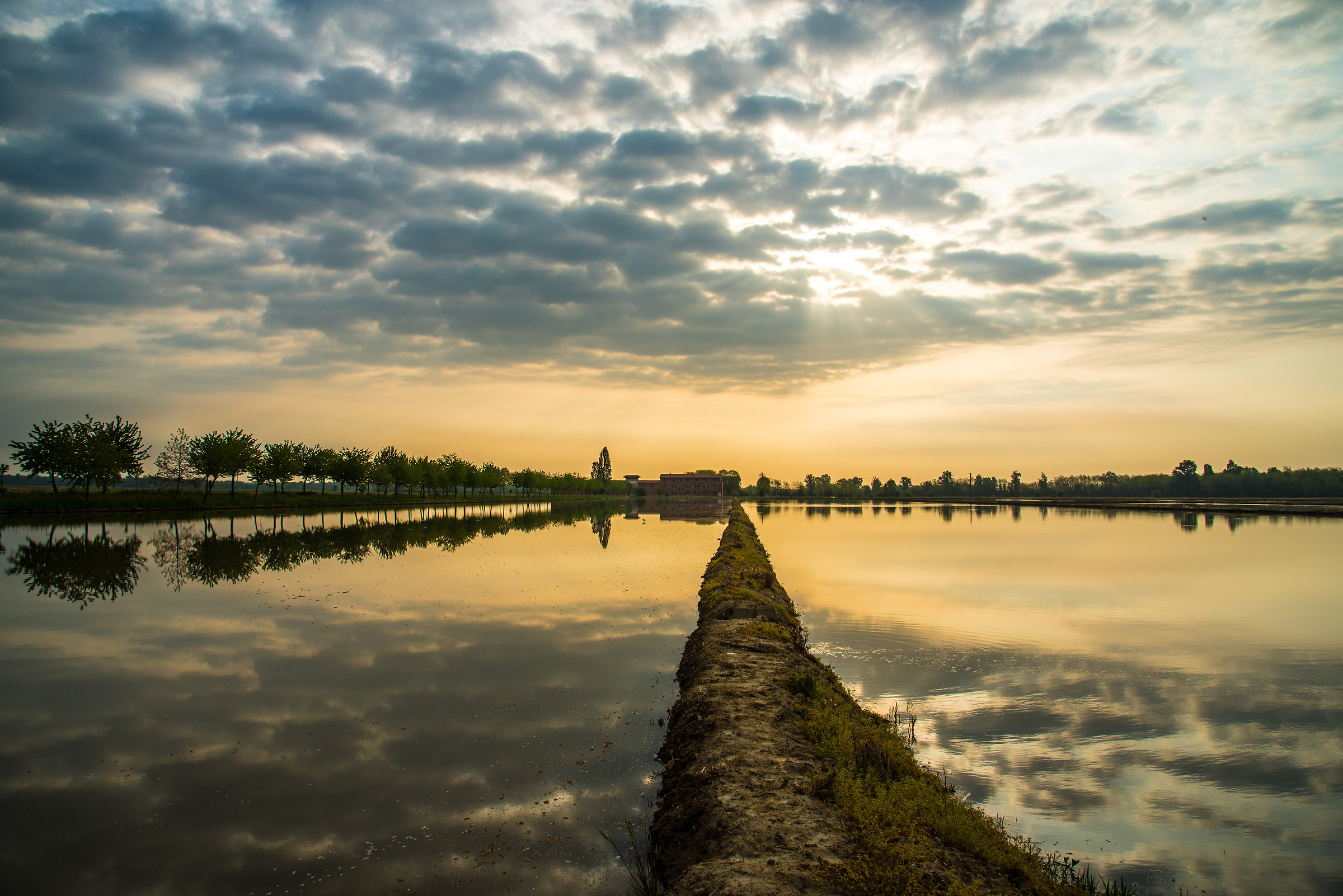 awakening in paddy field...