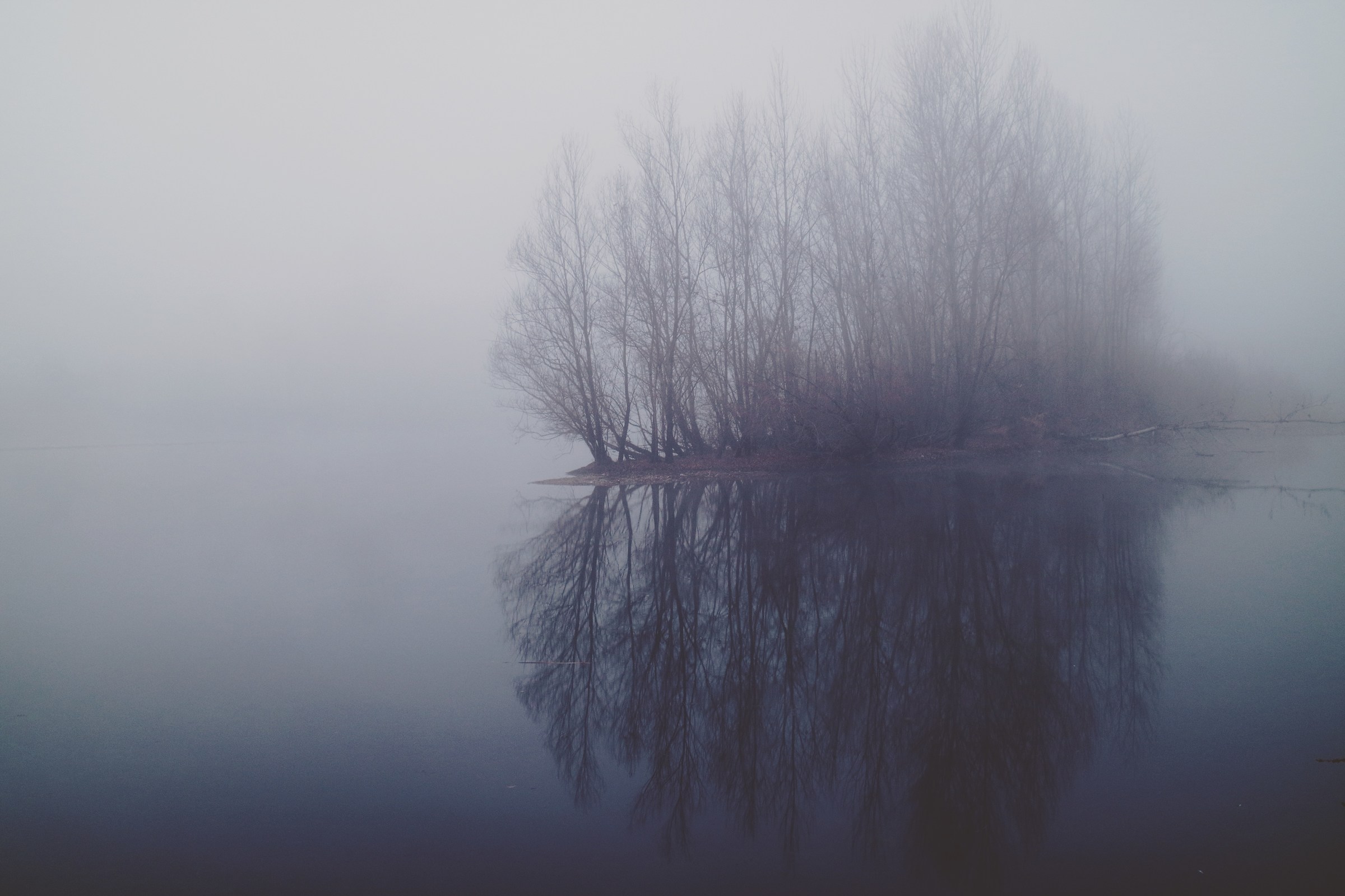 Fog over the Ticino....