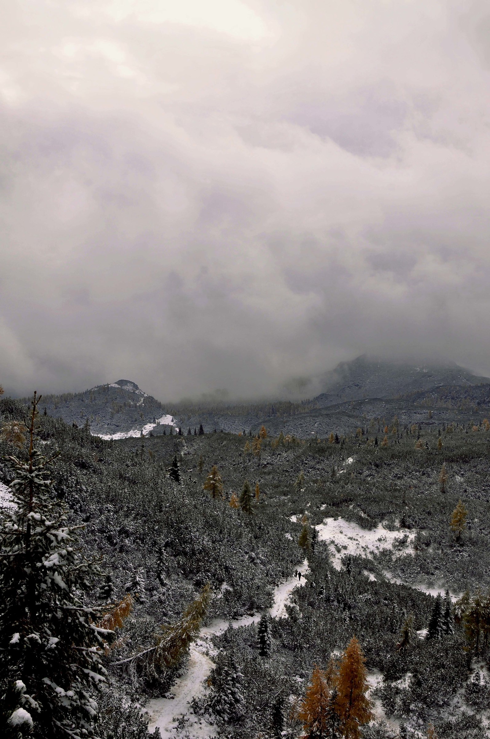 Cacciatori nella neve...