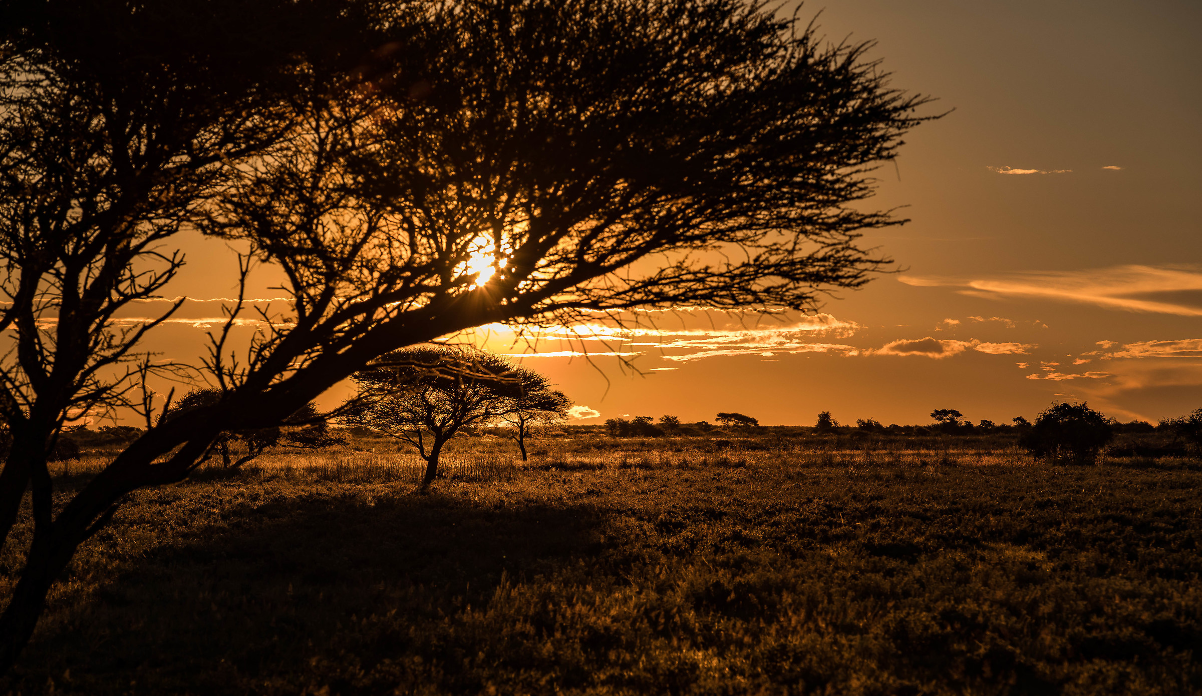 Sunset Kalahari...