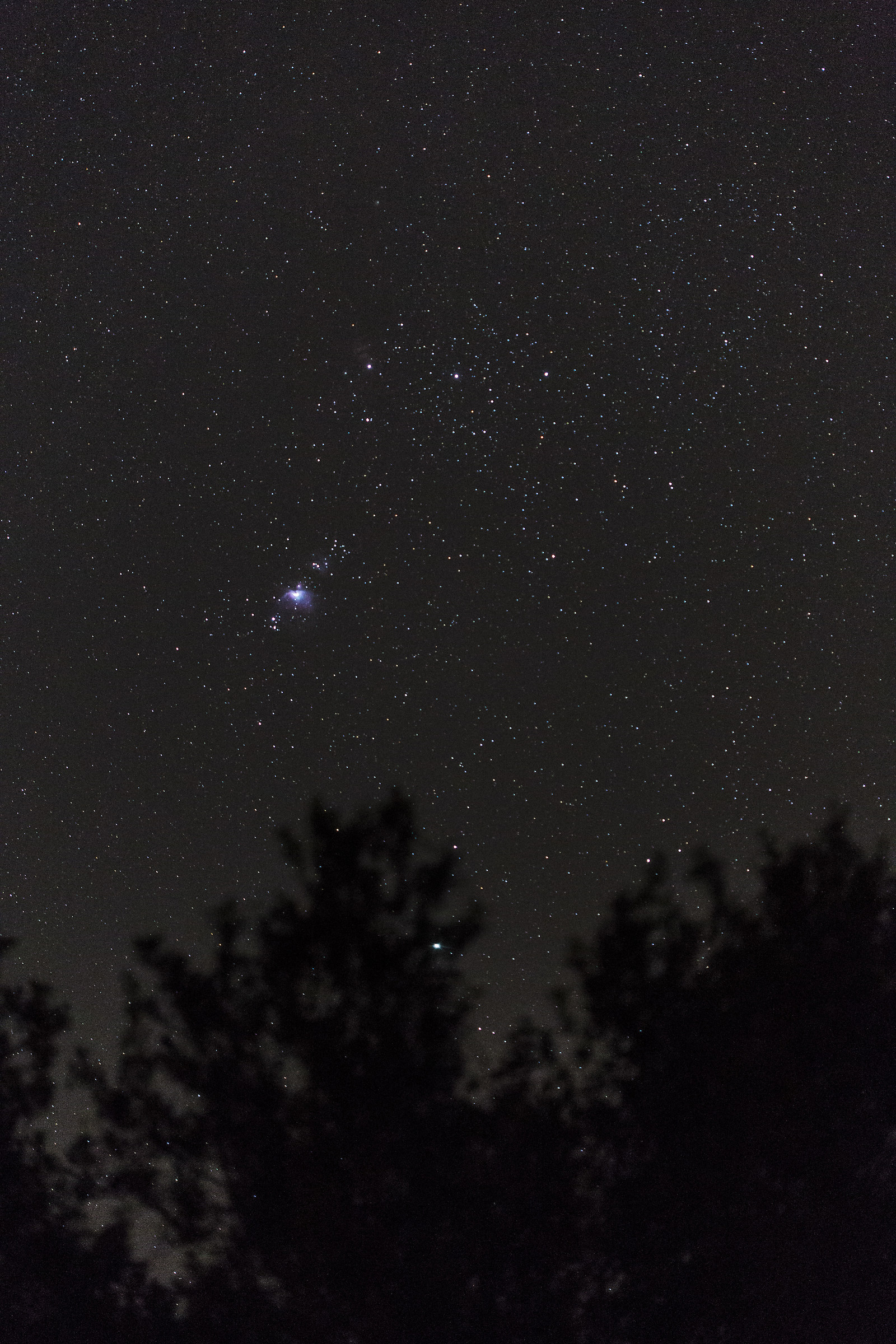 Orion nebula...