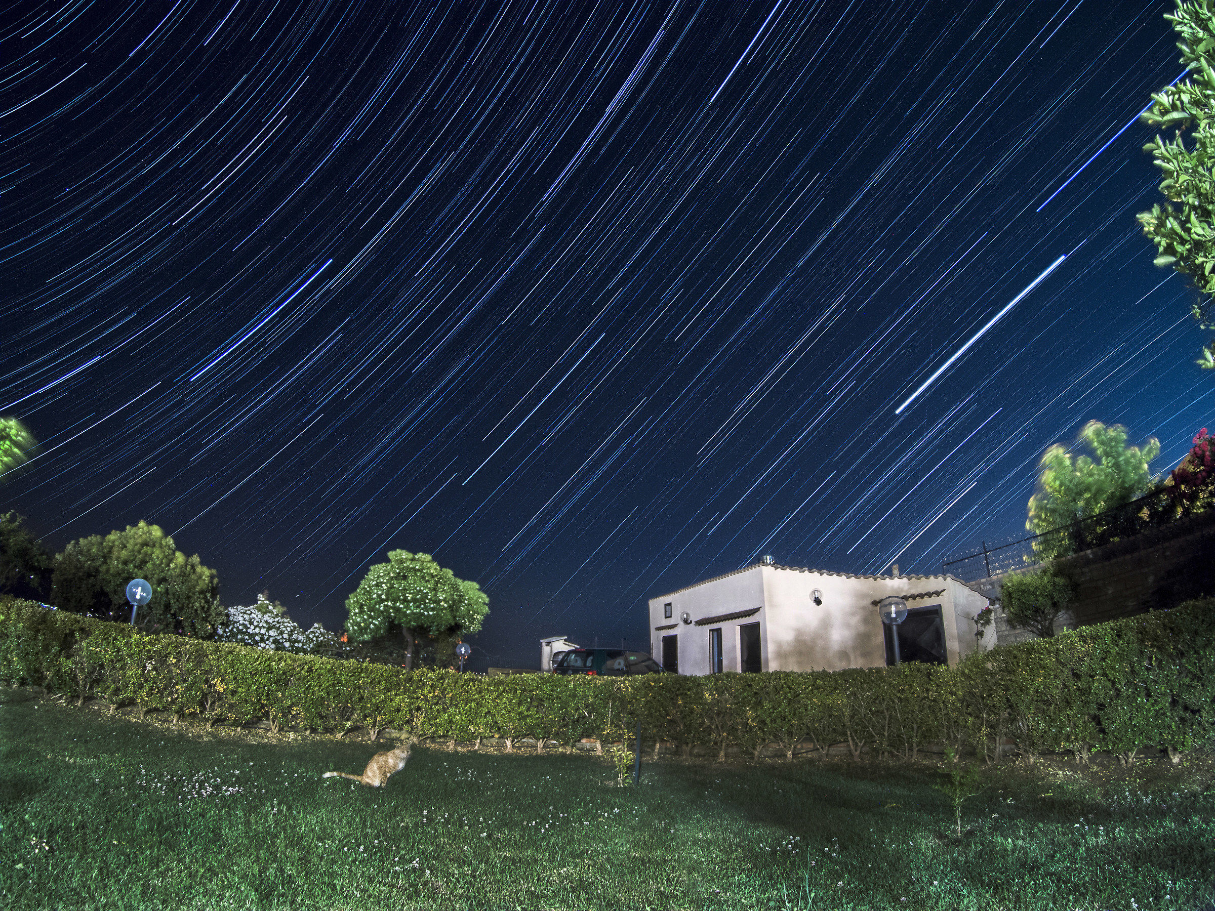 .... under the Stars...