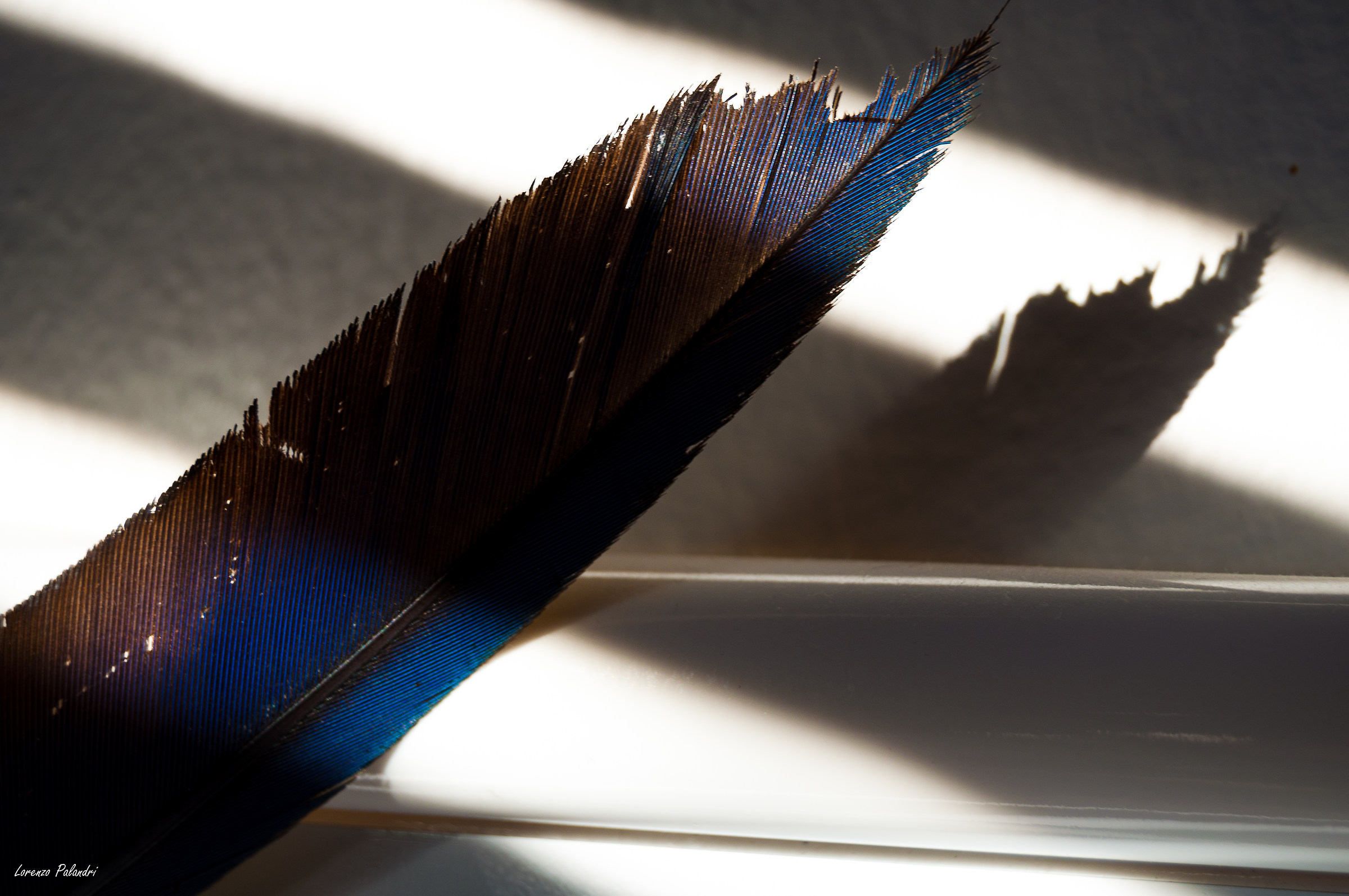 Una penna per scrivere con la luce...