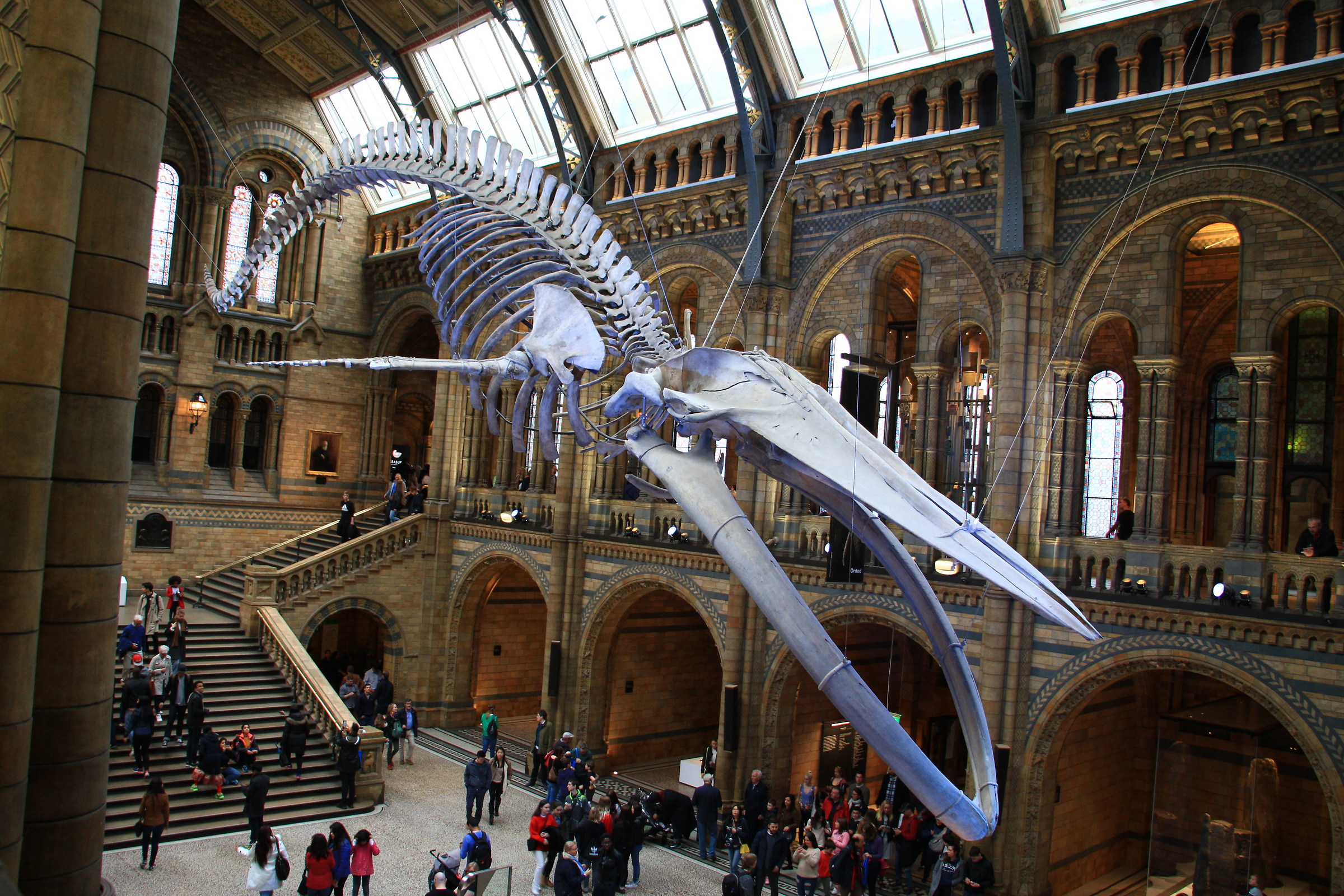 Museo di Storia naturale London...