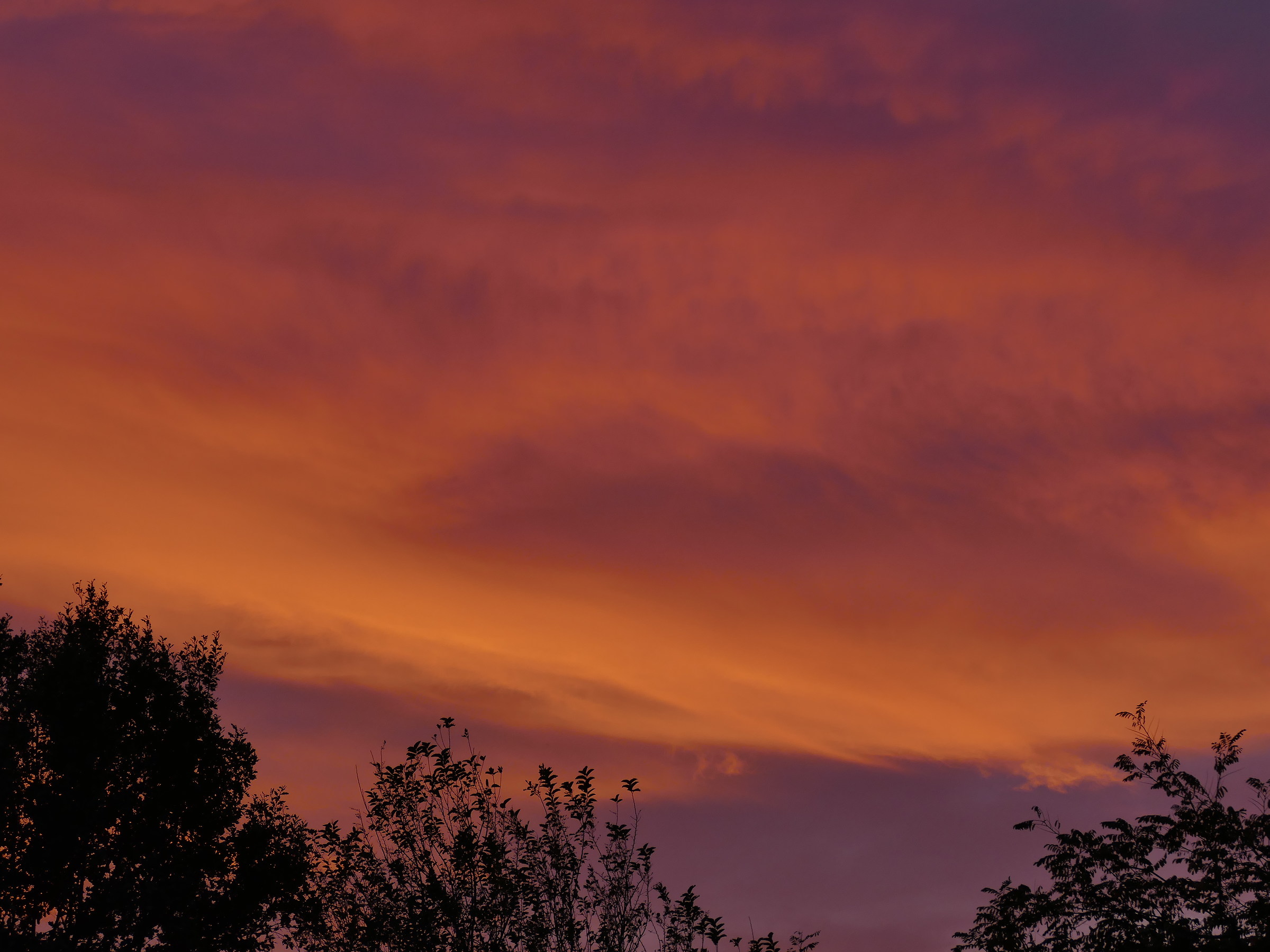 ombre "rosse...